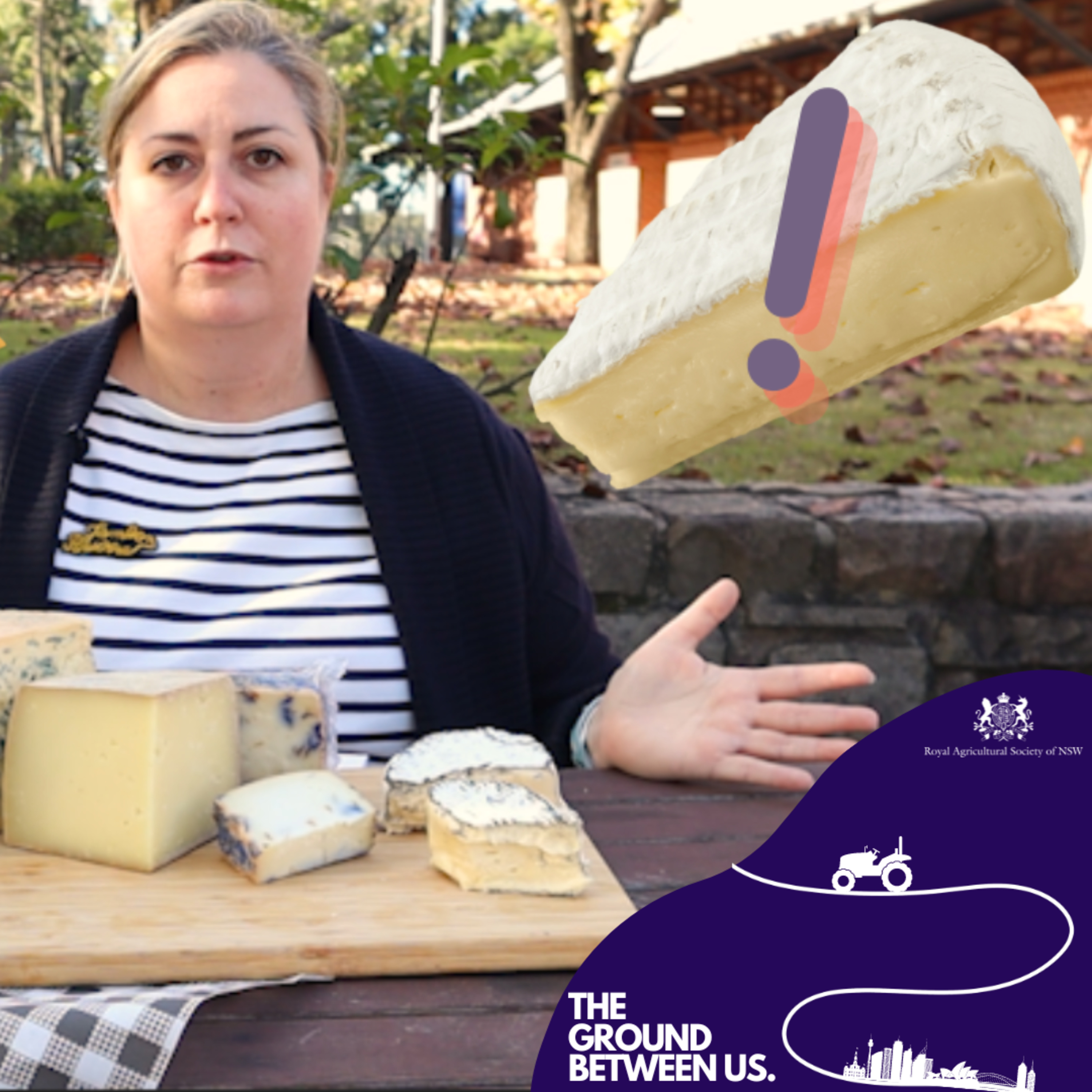 What makes the perfect cheese? with Penny's Cheese Shop