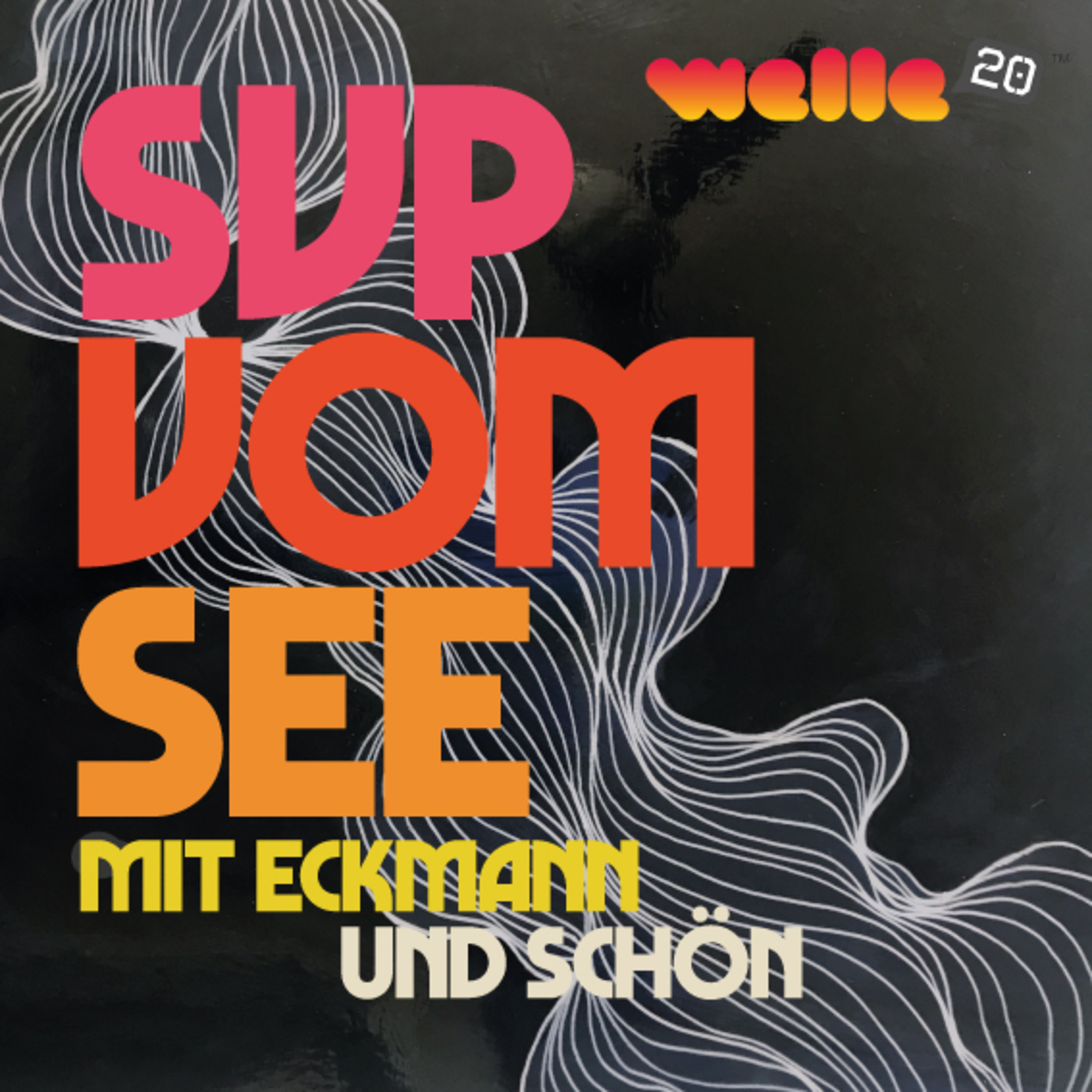 Welle20