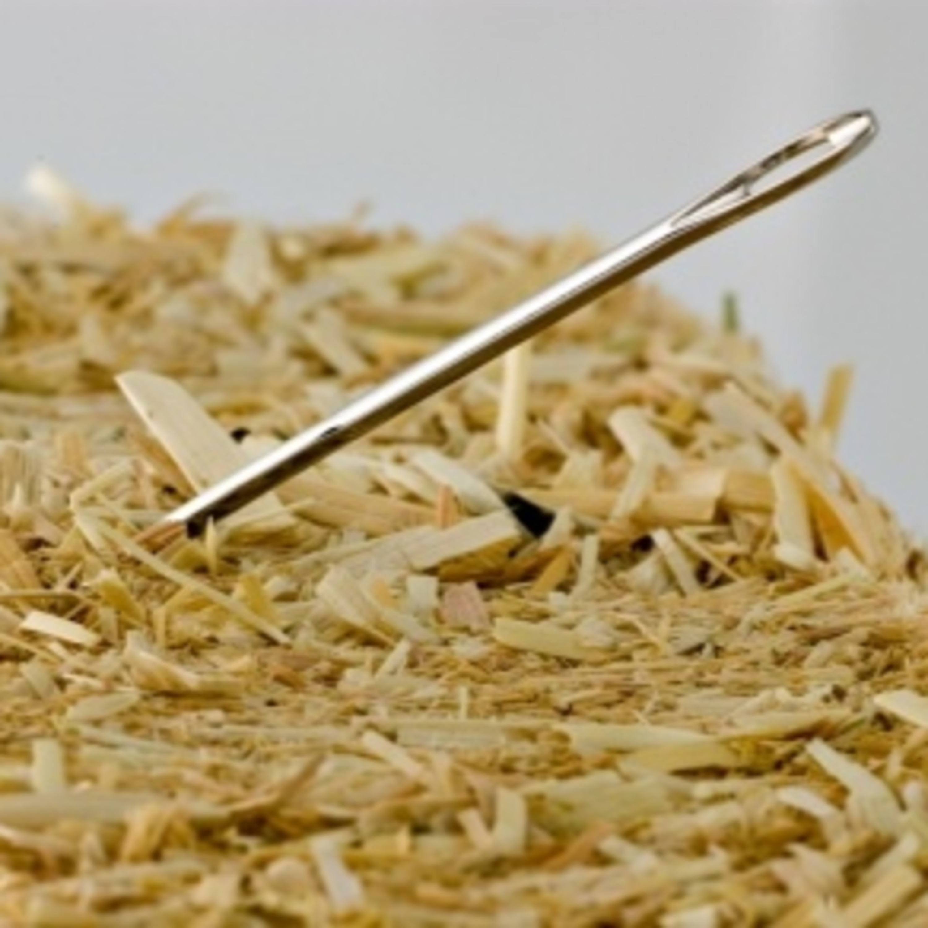 Introvert Marketing Monsters Academy