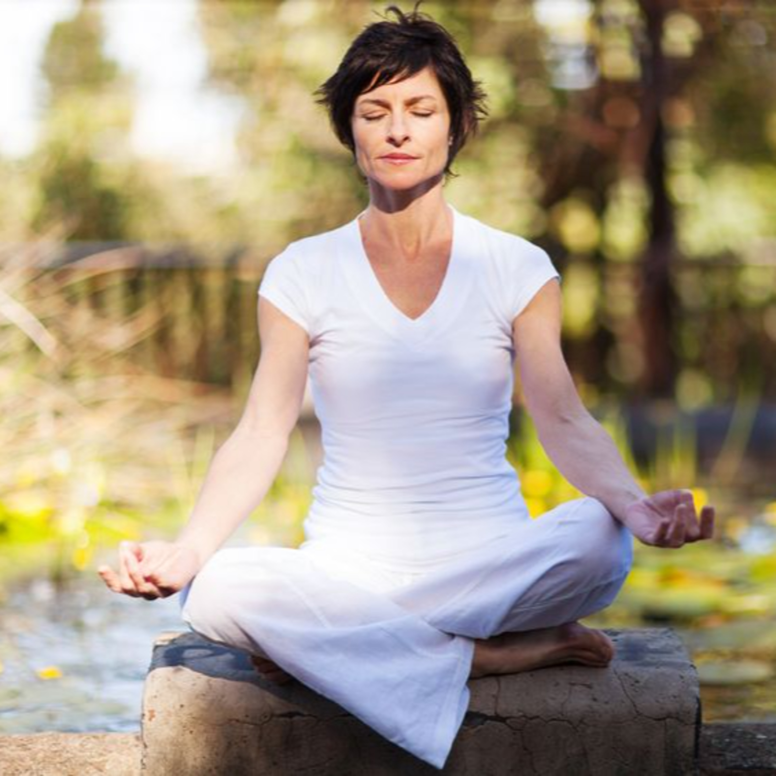 Introvert Marketing Monsters Academy