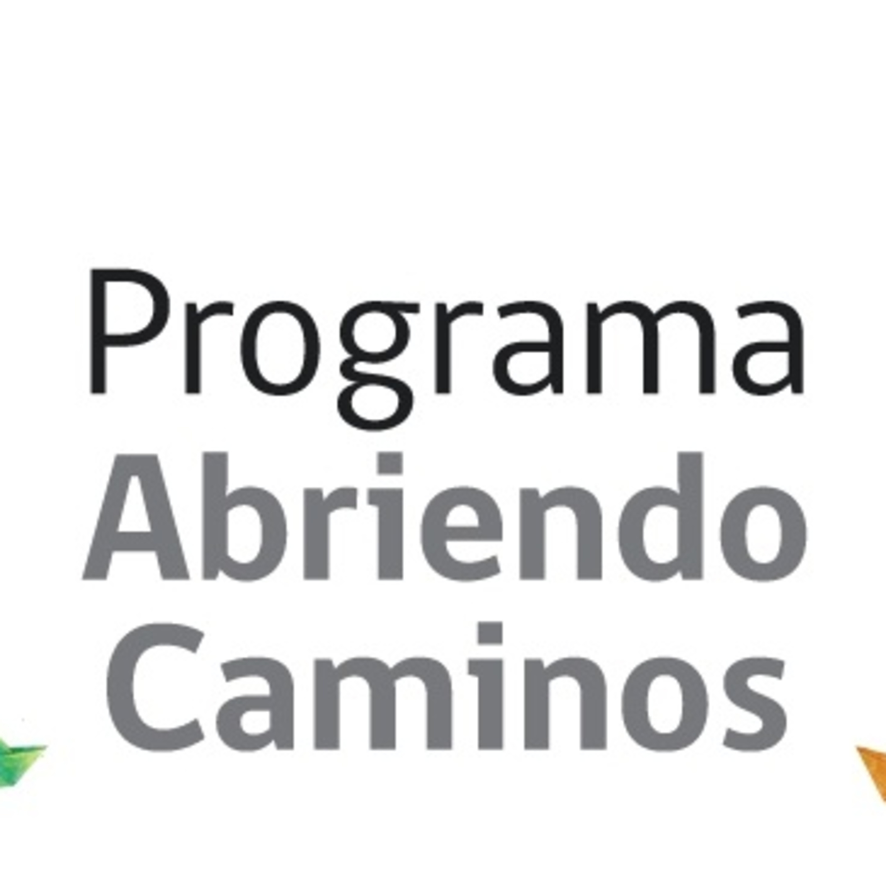 Universidad de Atacama