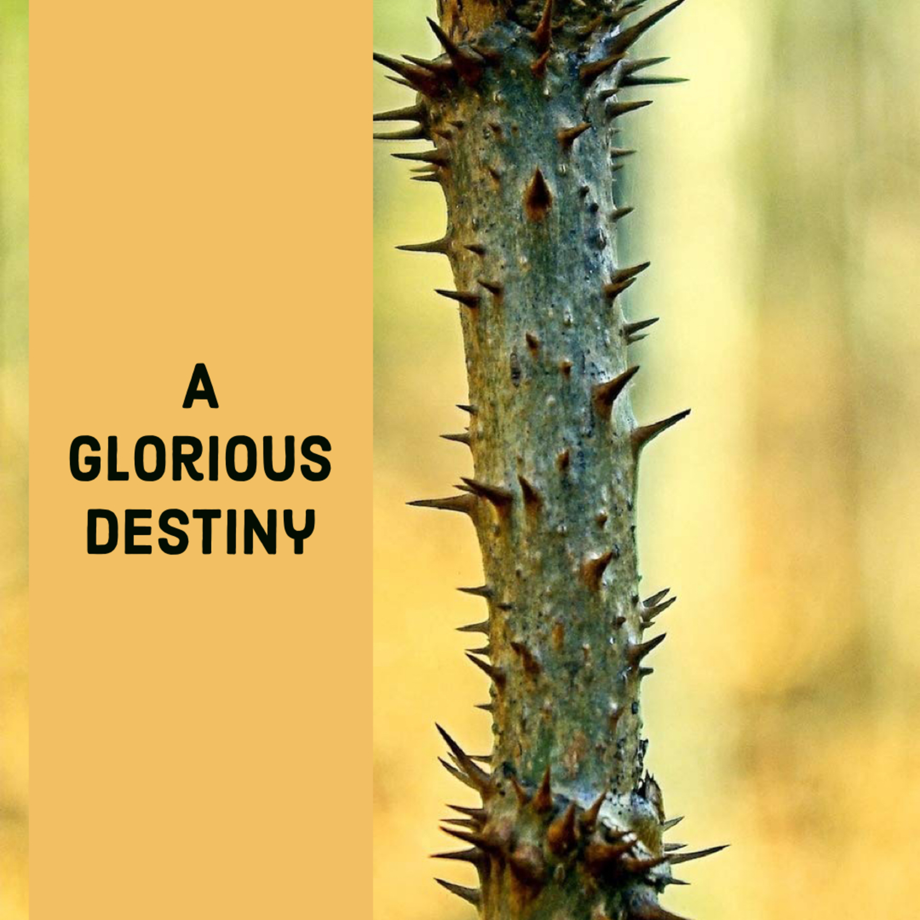 A Glorious Destiny episode artwork