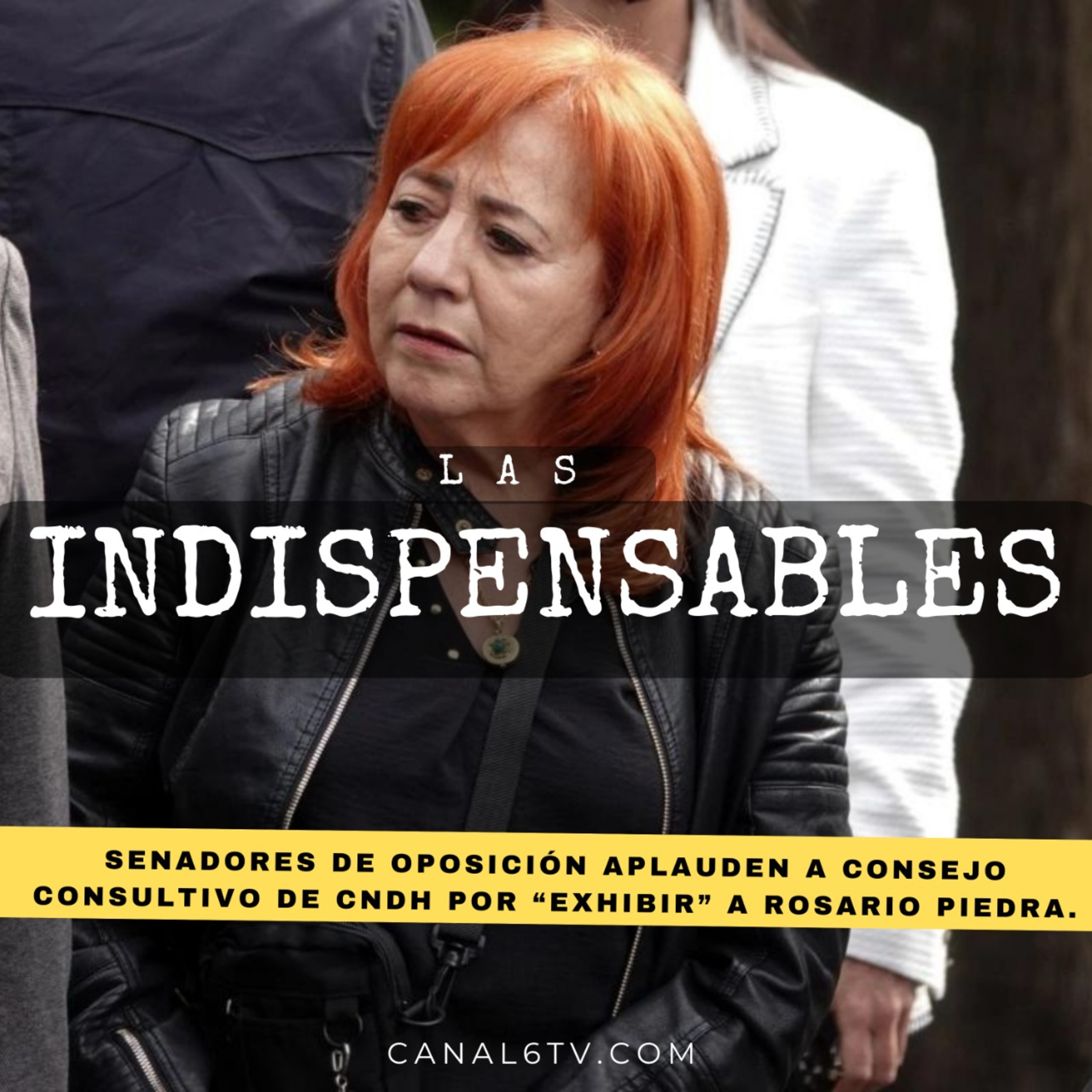 Senadores de oposición aplauden a Consejo Consultivo de CNDH por “exhibir” a Rosario Piedra. episode artwork