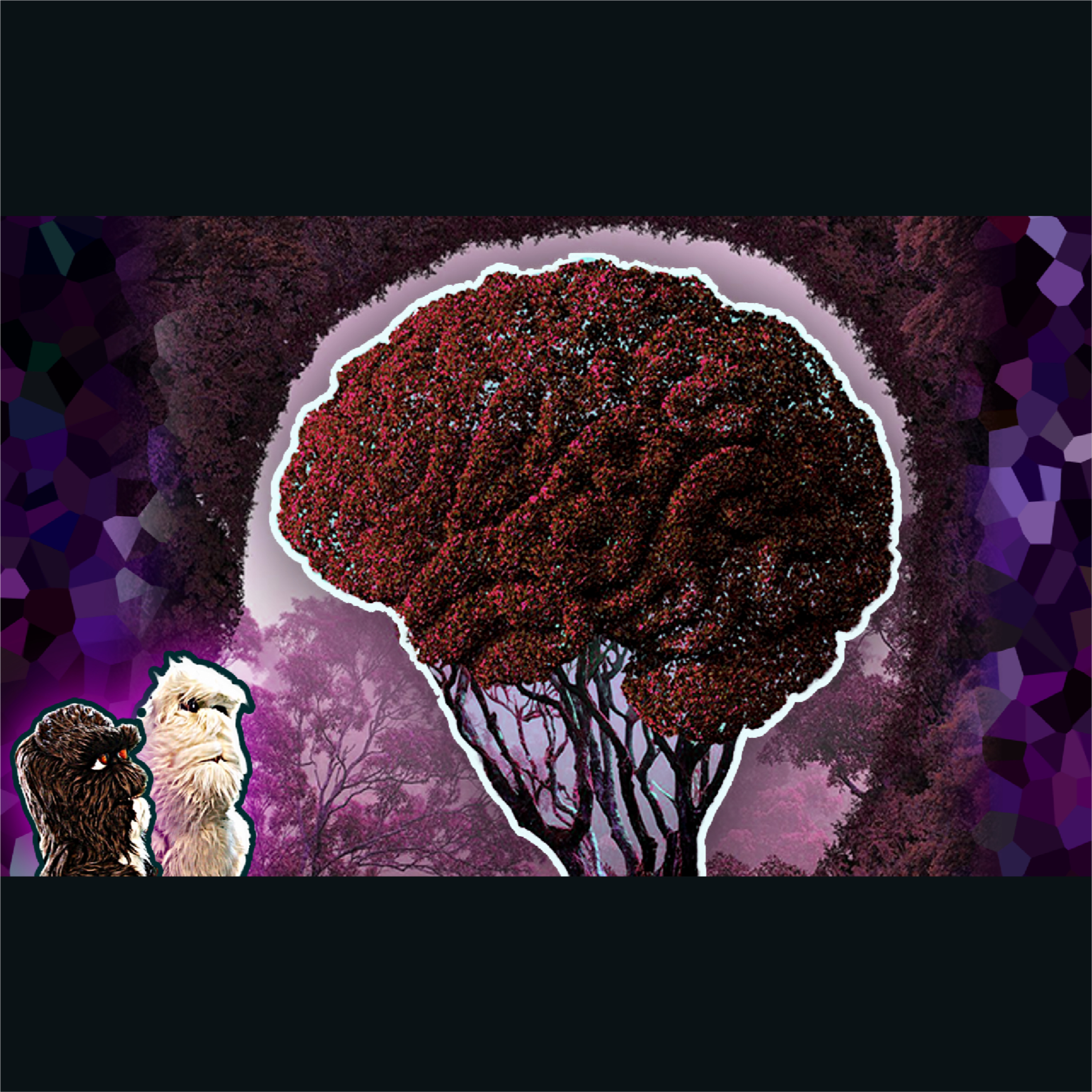 How Doing Difficult Things Rewires Your Brain - Wim Hof Researcher, Dr. Vaibhav Diwadkar