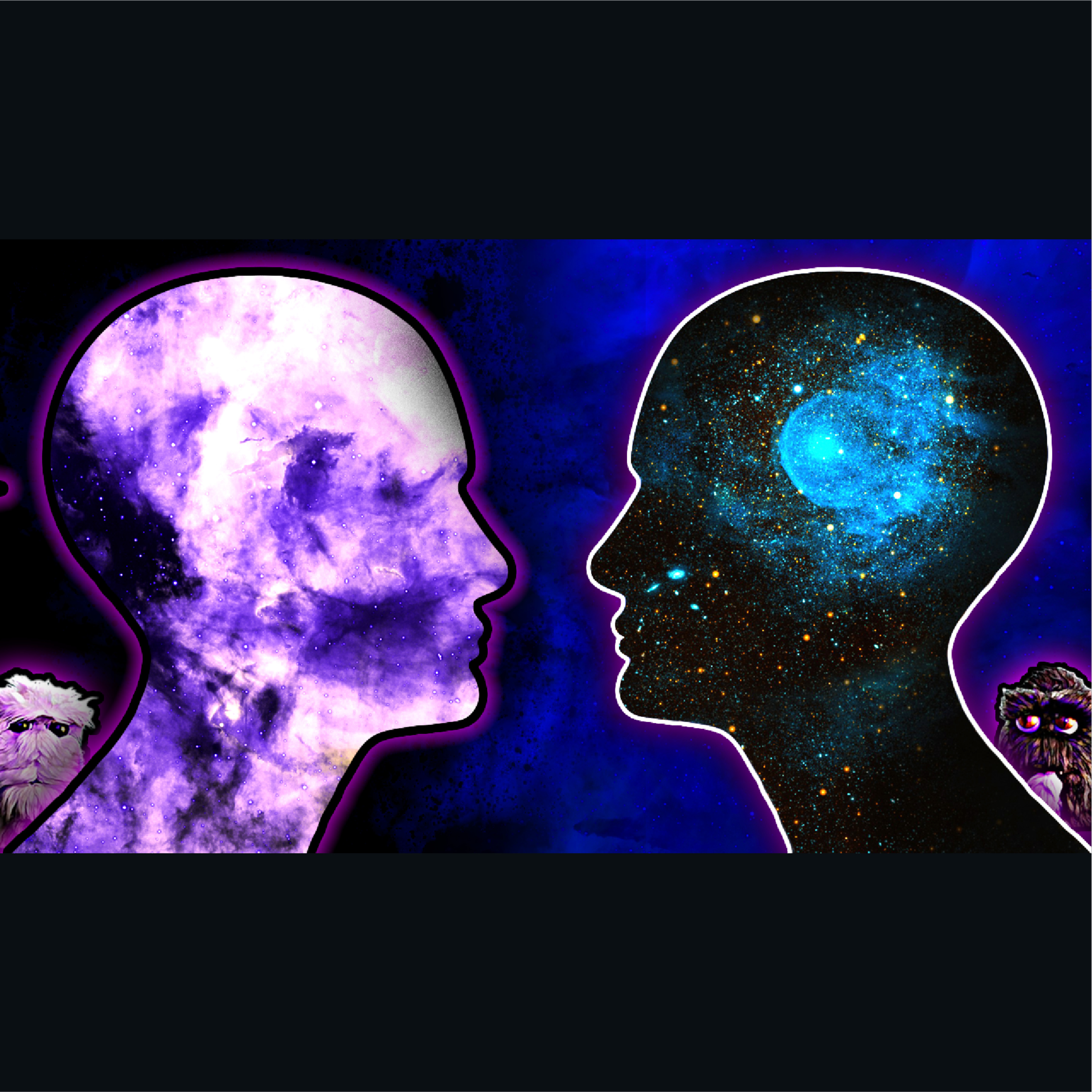 When the Mind Shapes Reality, Belief is Good For You - Dr. Matthijs Kox