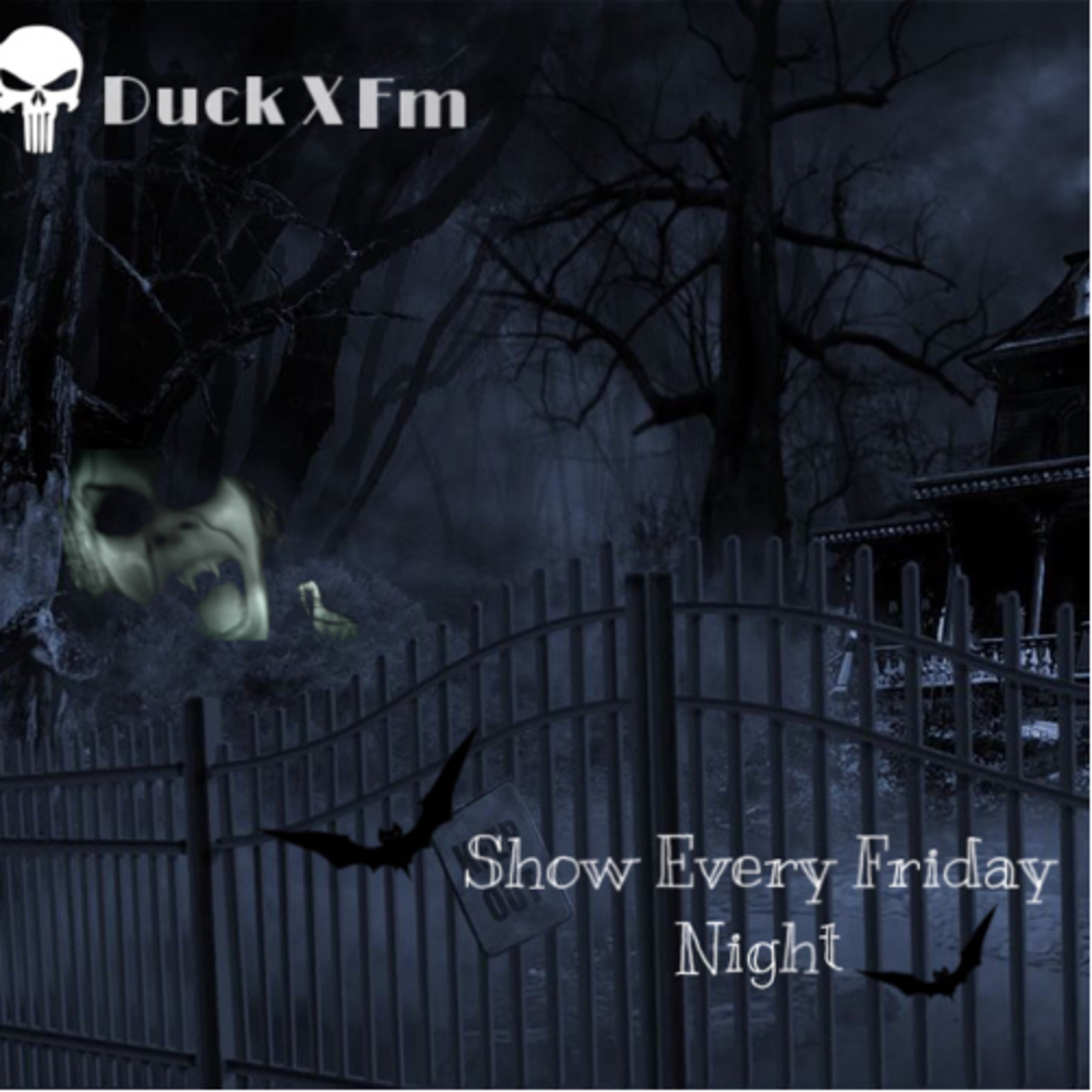 Horror Ghost Stories In Hindi And English|DuckX Fm