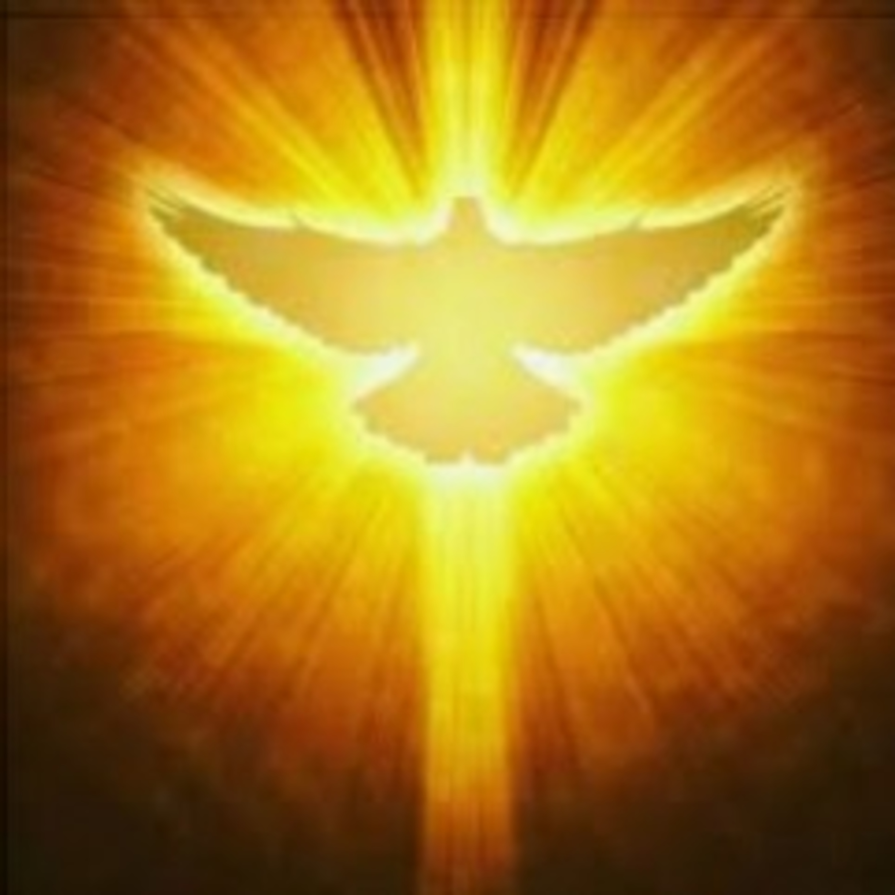 A Palavra De DEUS é Luz