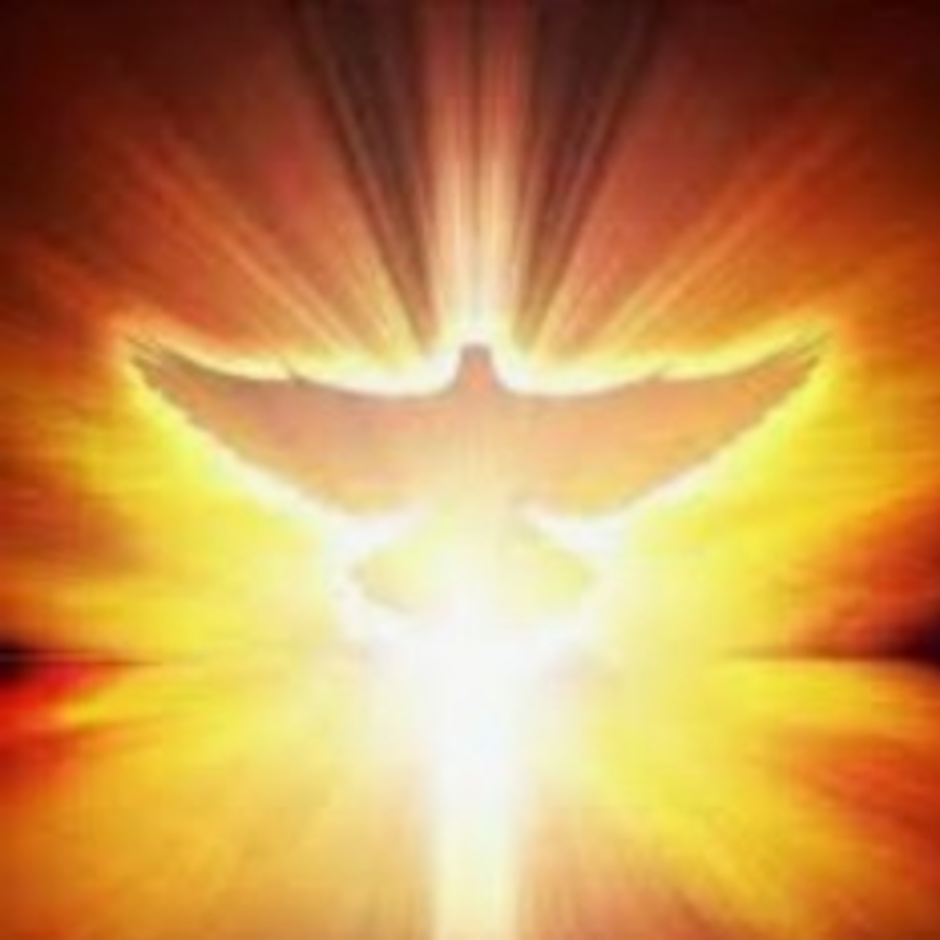 A Palavra De DEUS é Luz