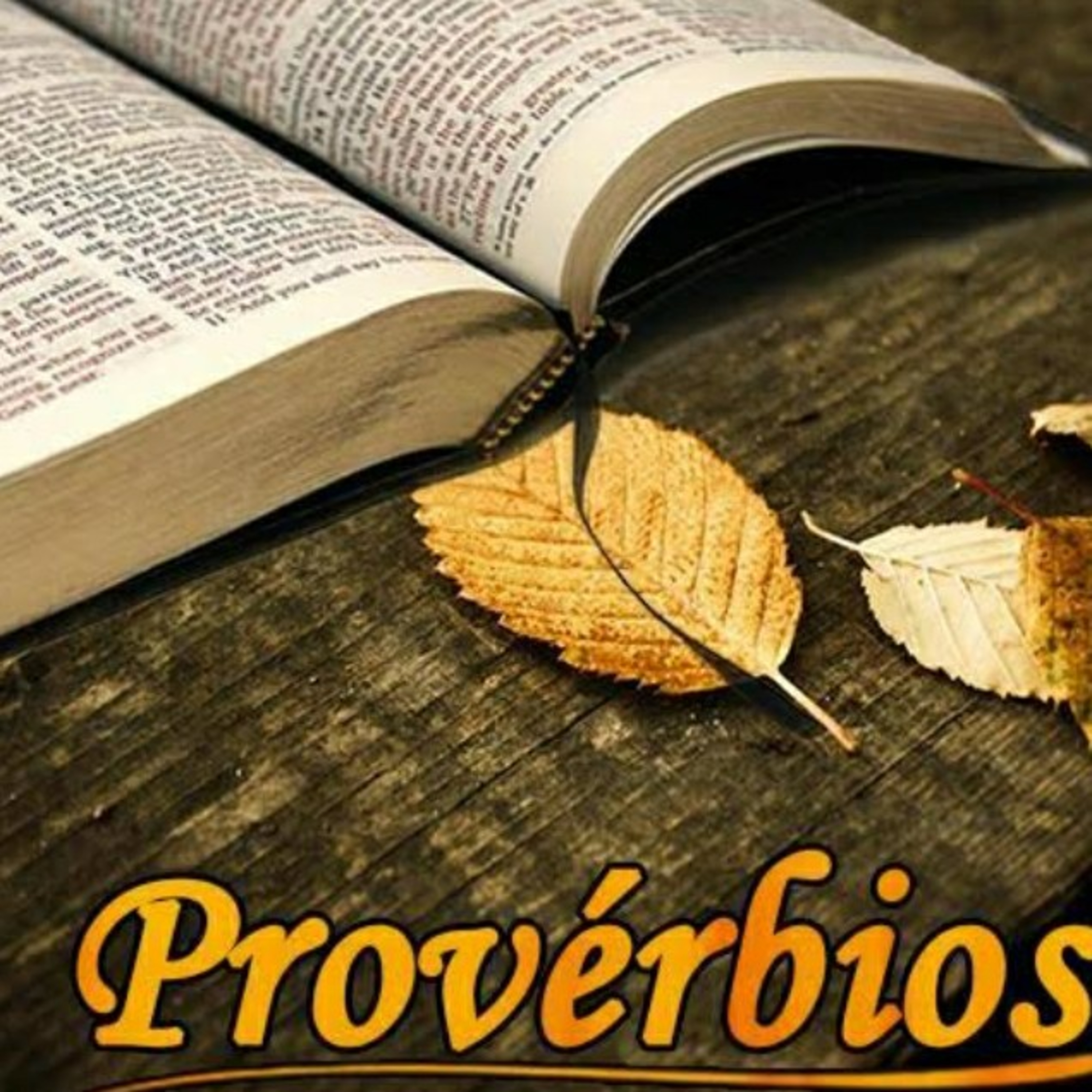 A Palavra De DEUS é Luz