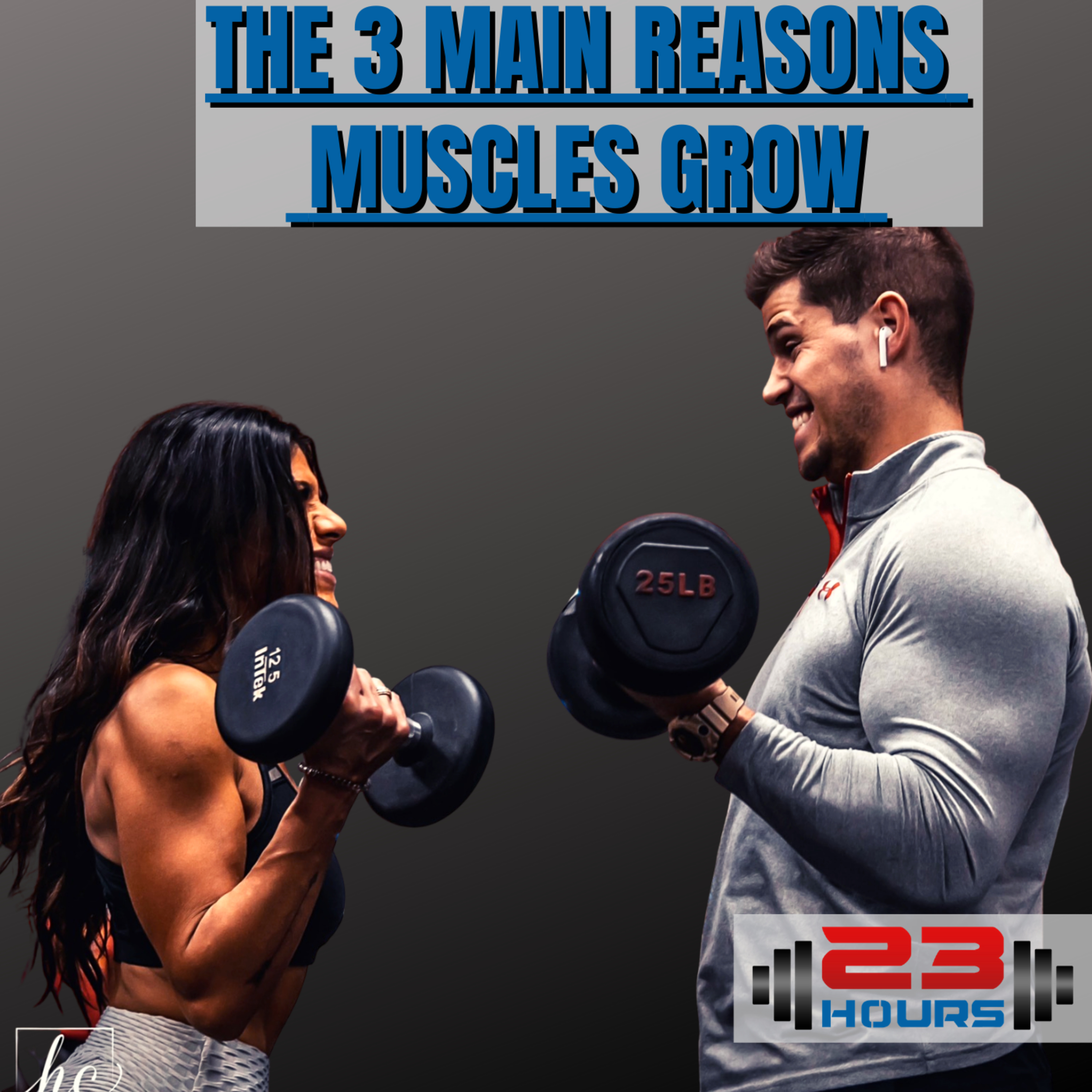 The 23 Hours Podcast