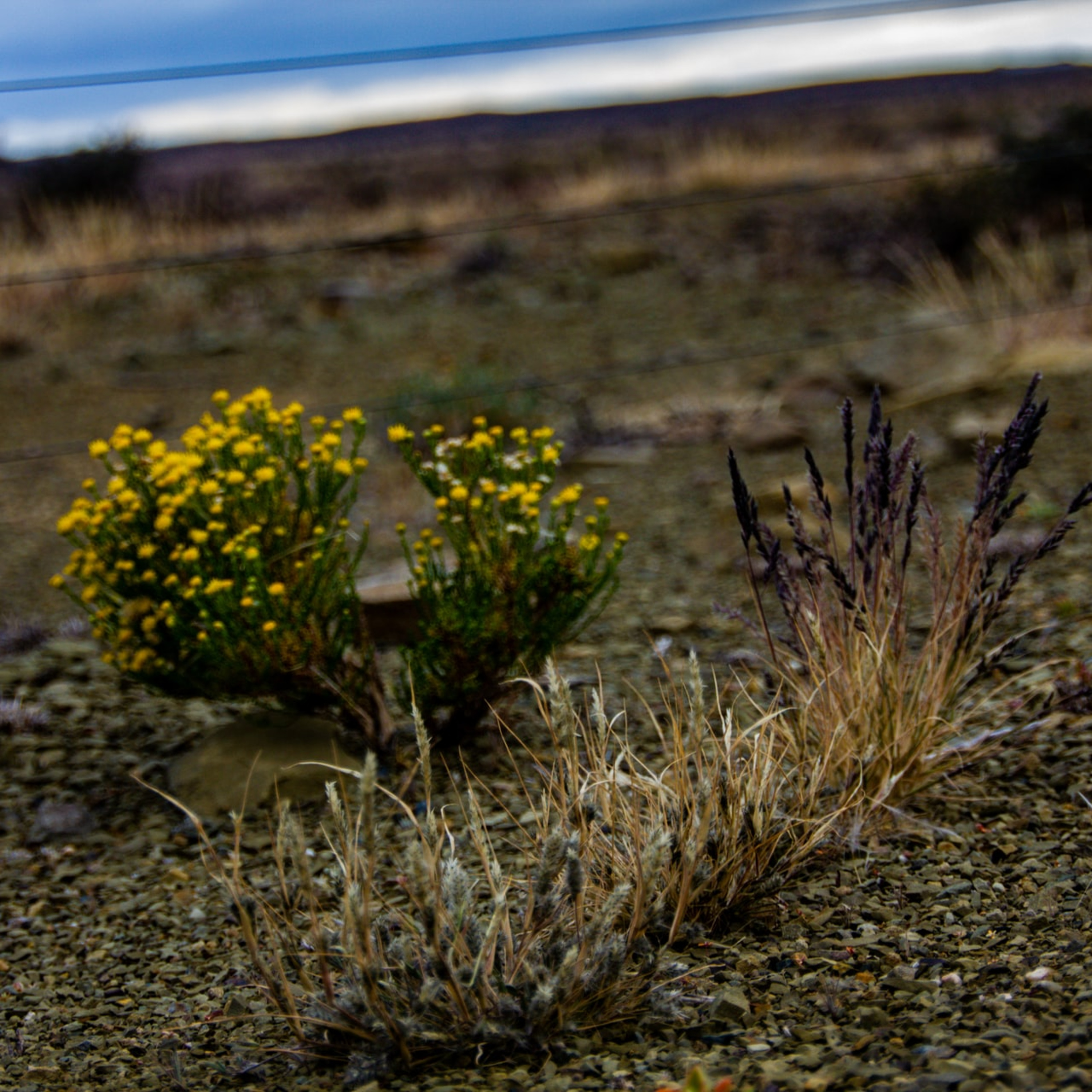 EG.9-04_口約束は絶対に守らない episode artwork