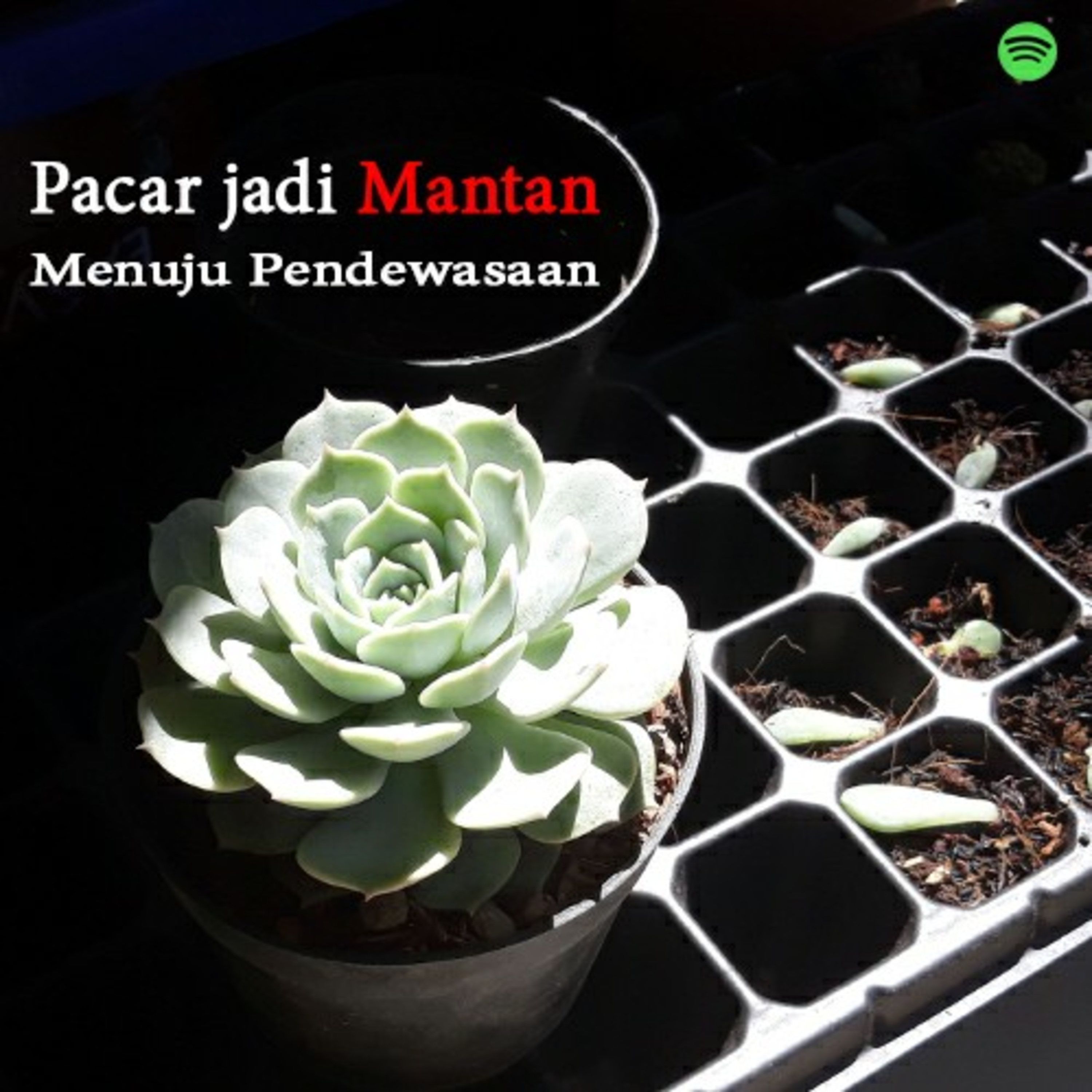 PODKESTRA - Podcast Rantau (Random, Toxic, dan Unfaedah)