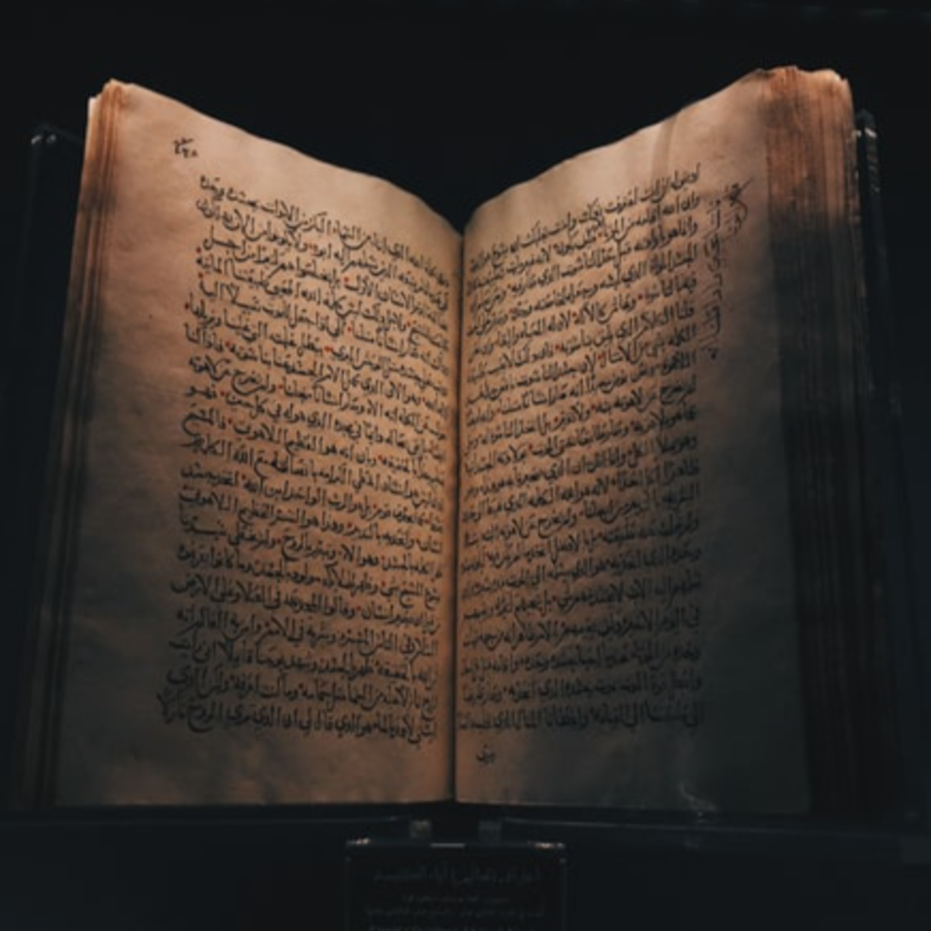 المدّب الّي ما يعرفش يقرا episode artwork