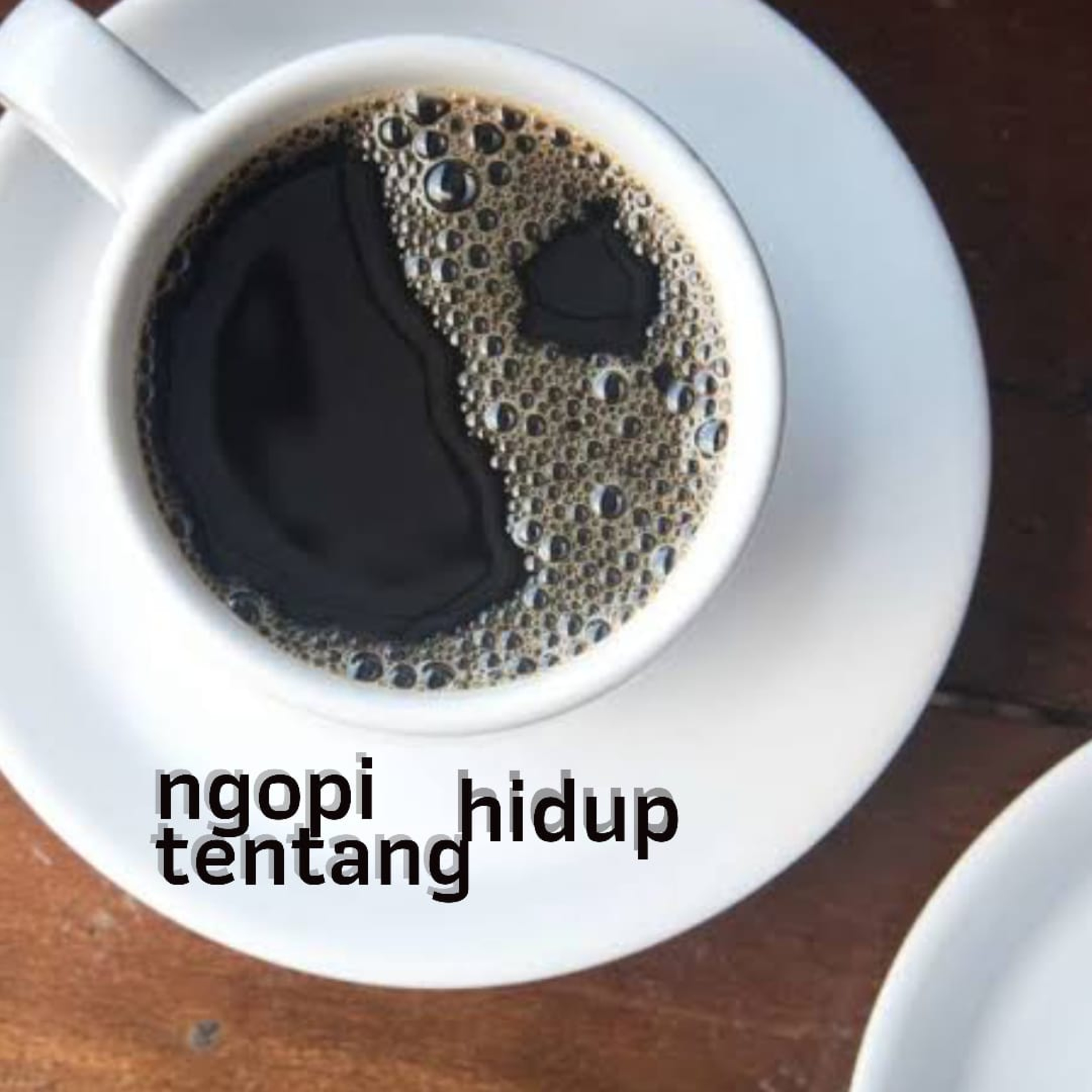 Hanya Insani