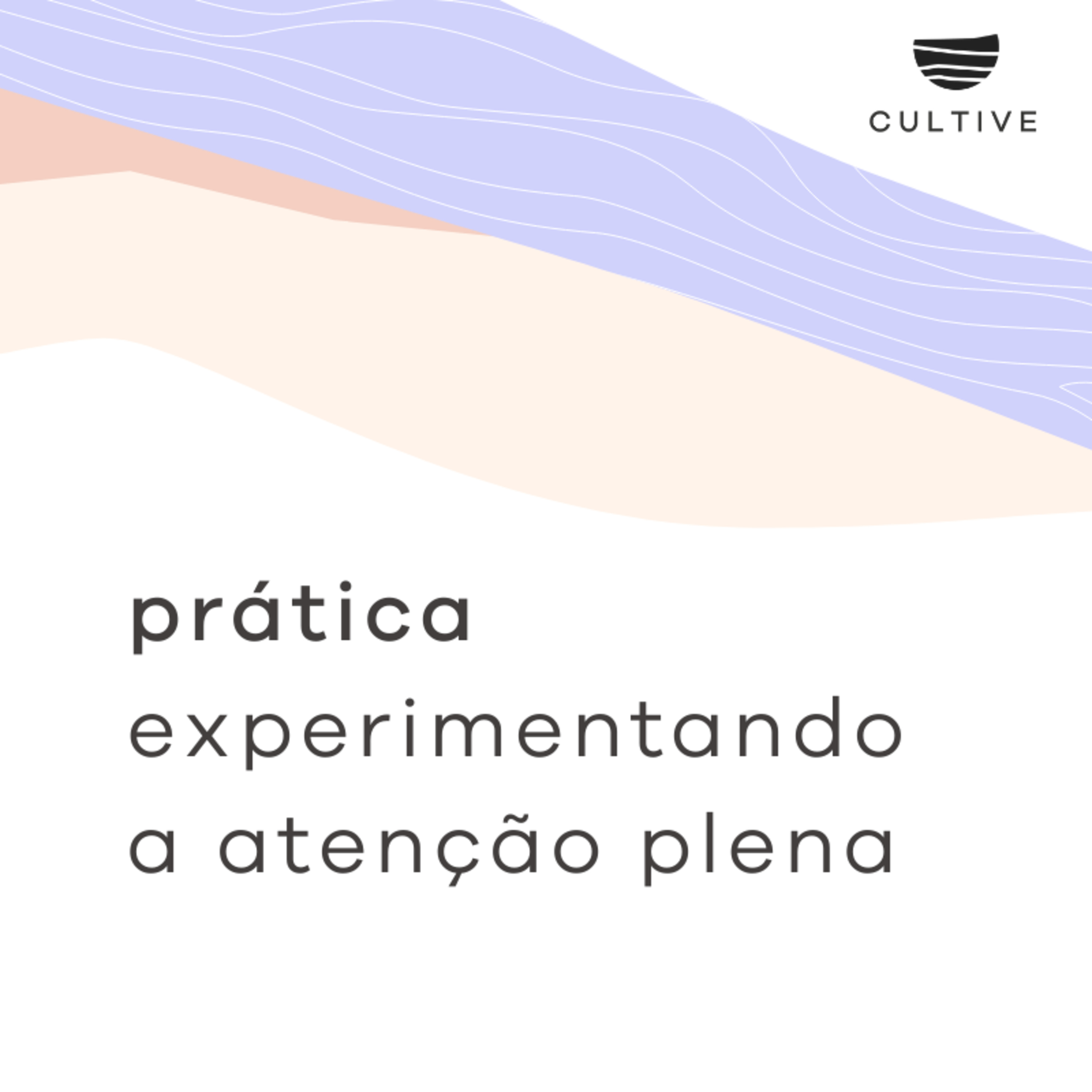 As 4 estações do equilíbrio emocional
