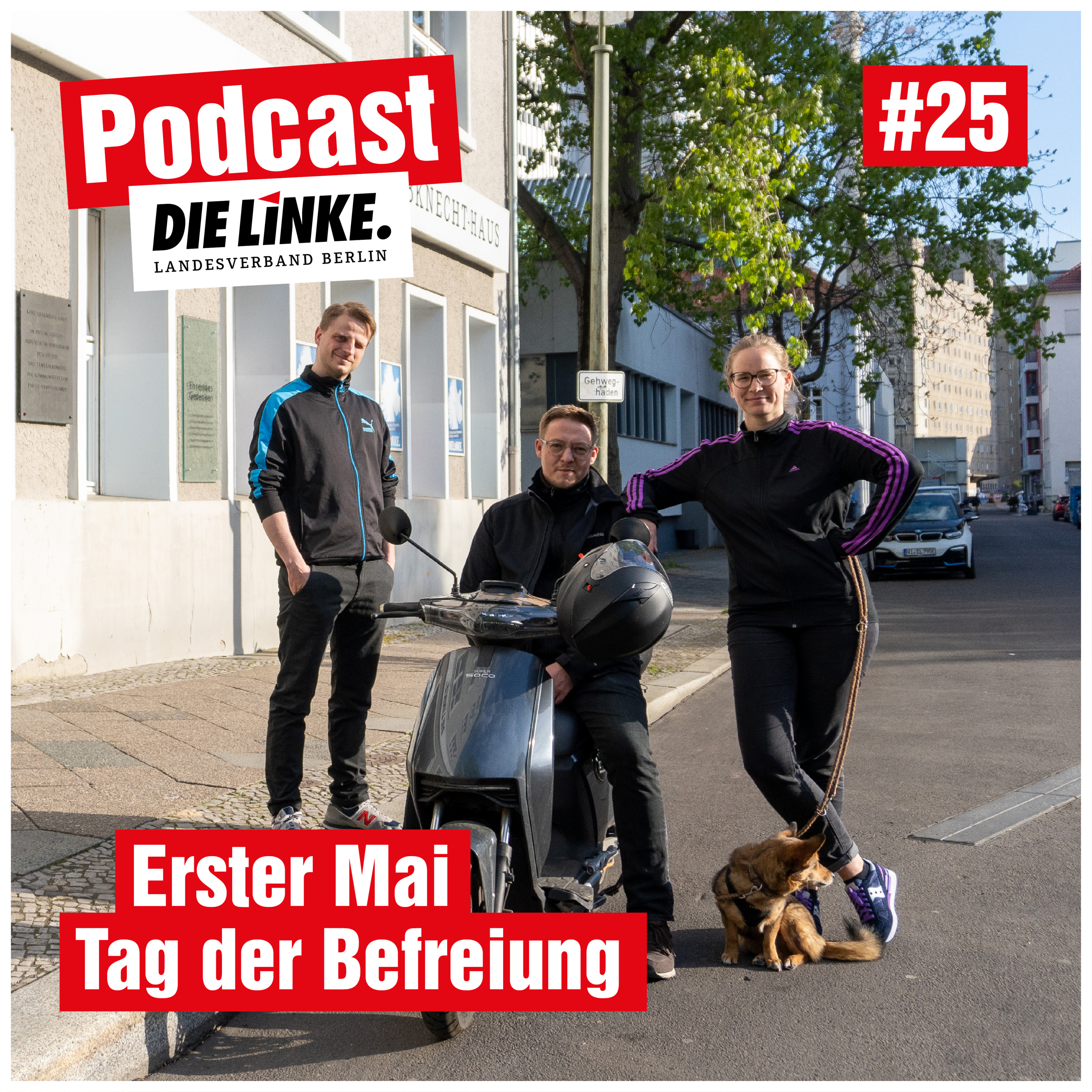 Podcast Die Linke Berlin