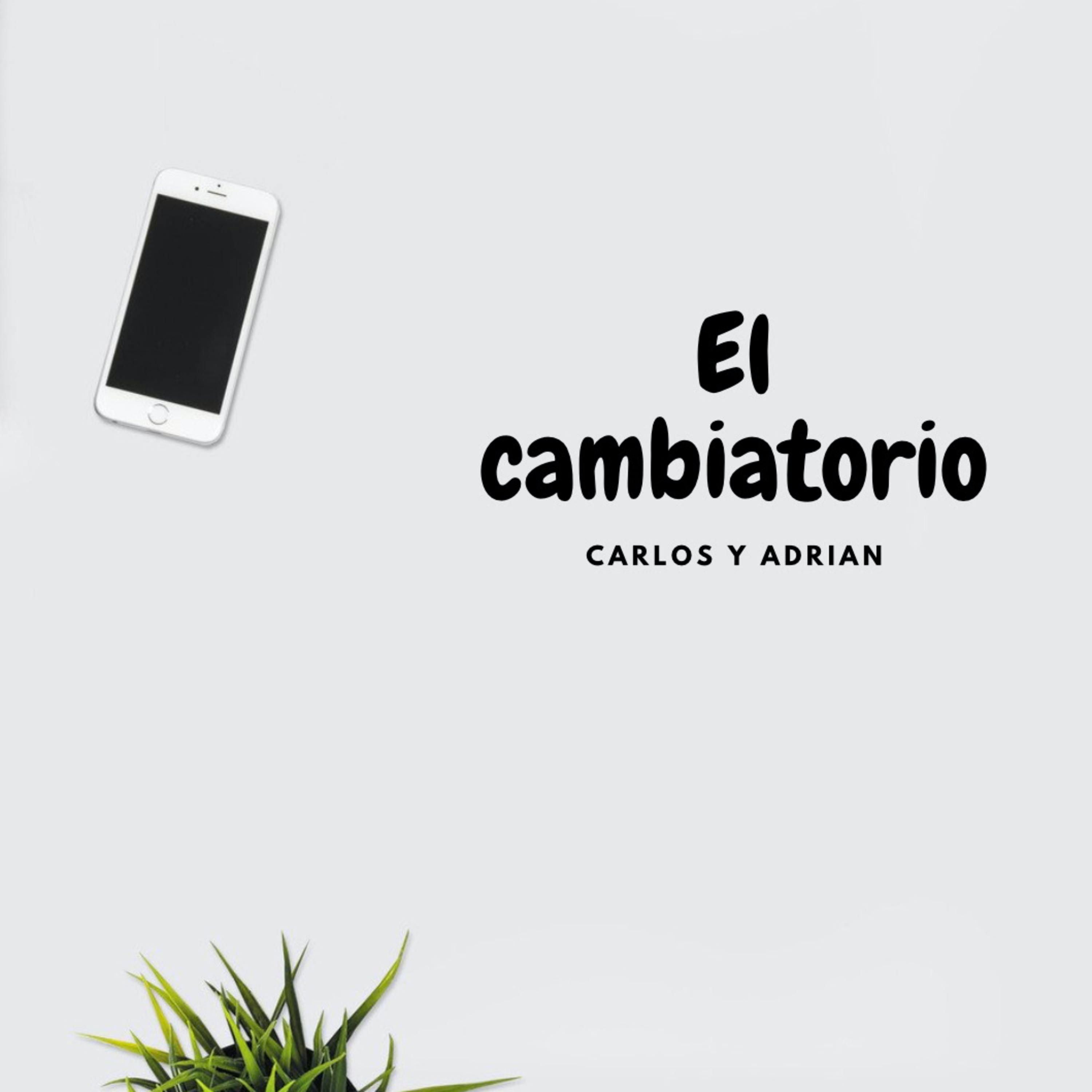 El cambiatorio