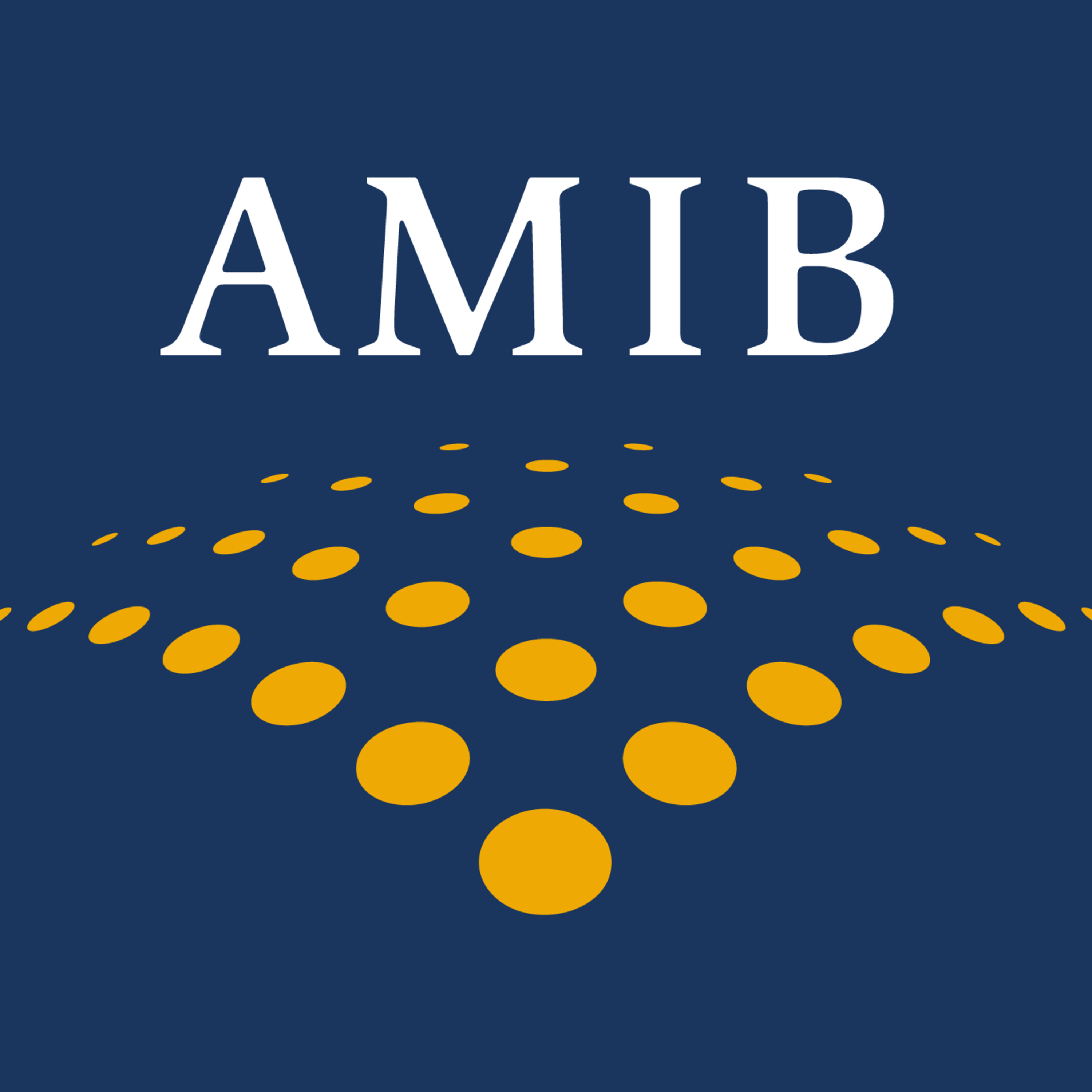 AMIB en Movimiento