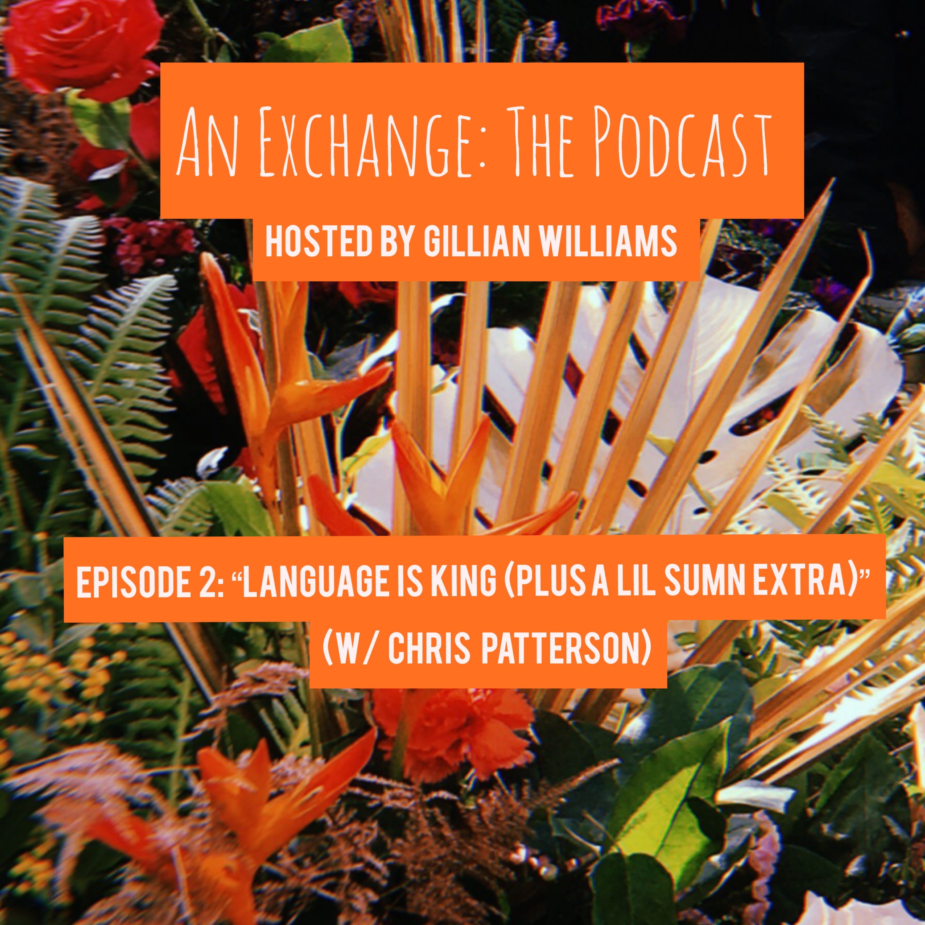 An Exchange with Gillian Williams