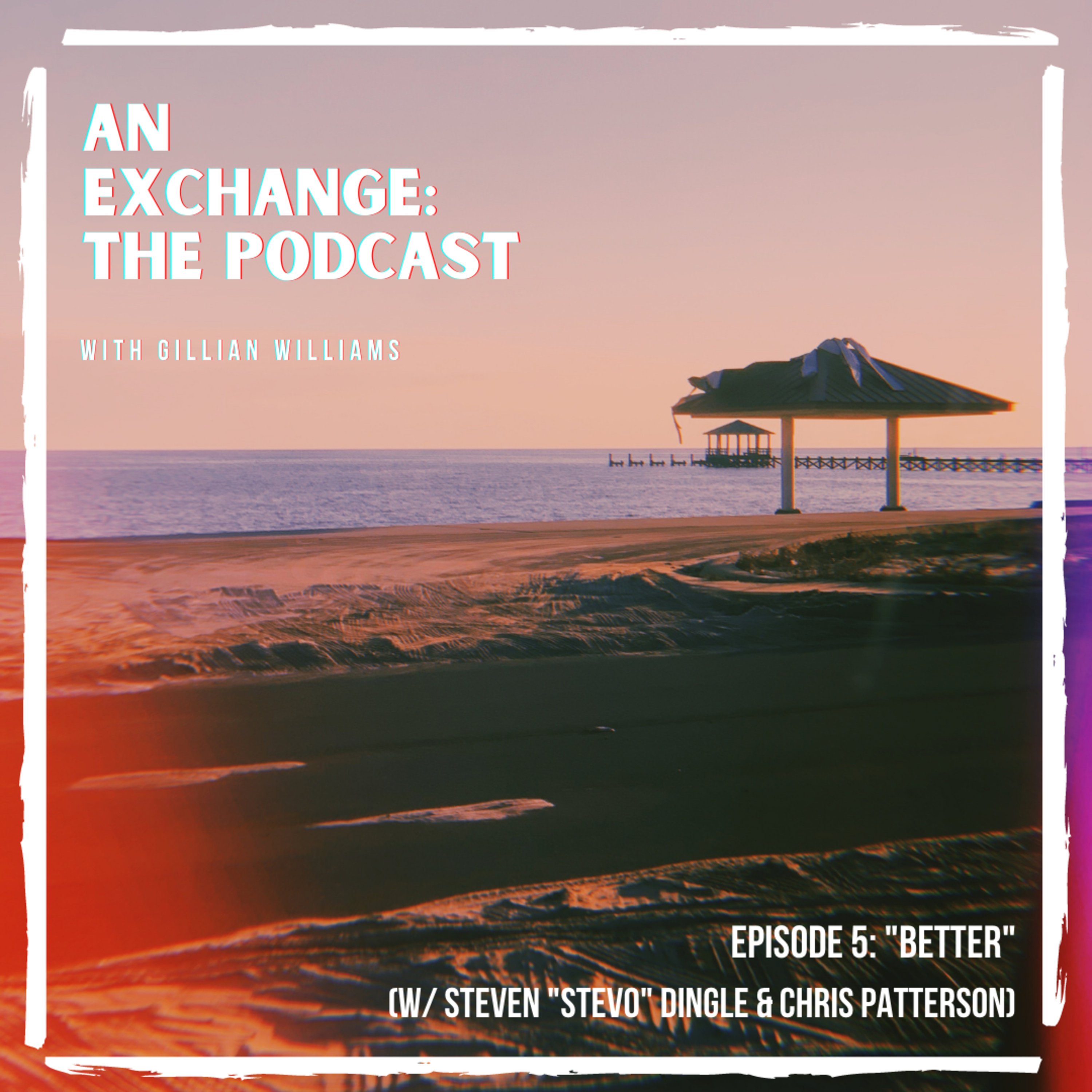 An Exchange with Gillian Williams