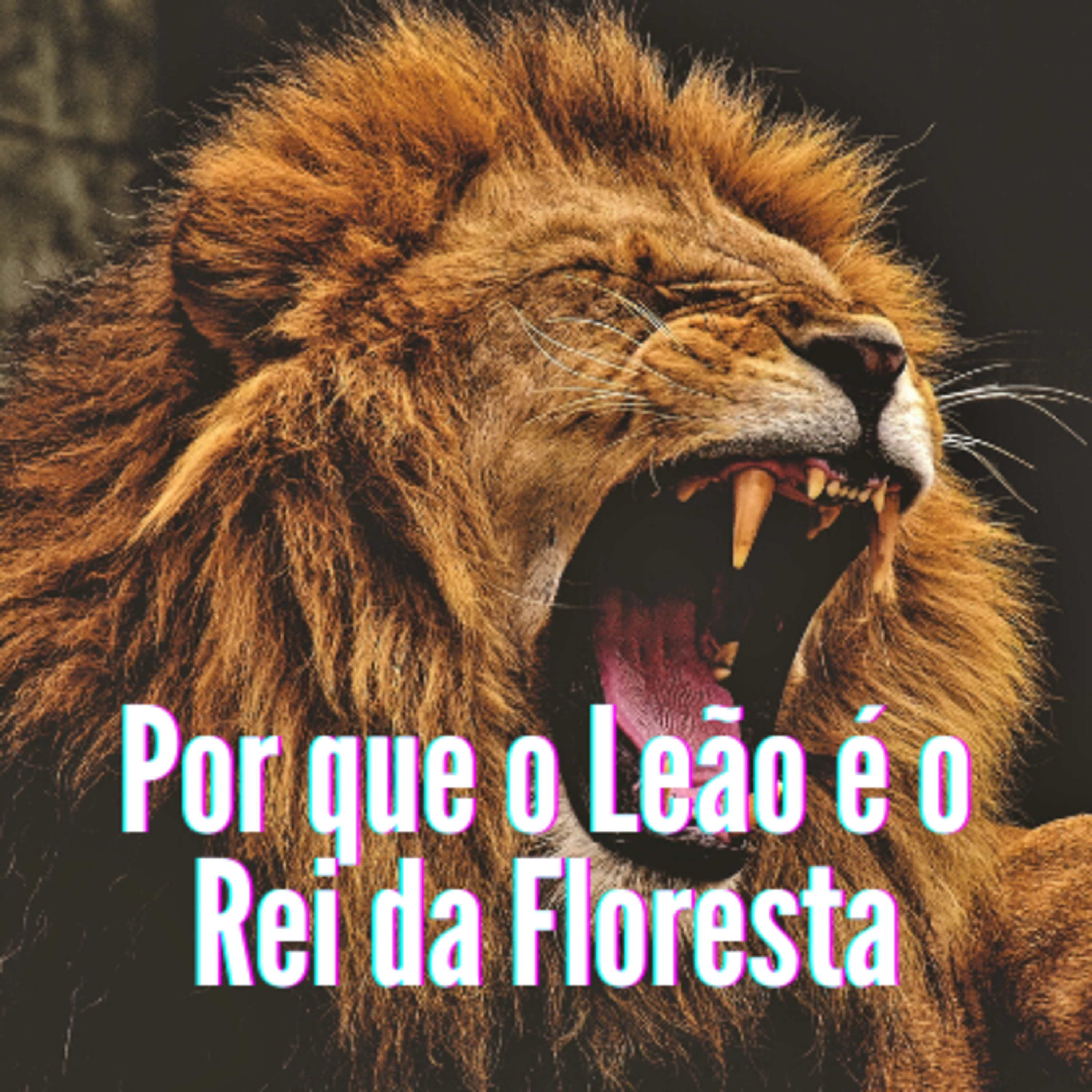 Por que o Leão é o Rei da Floresta❓ episode artwork