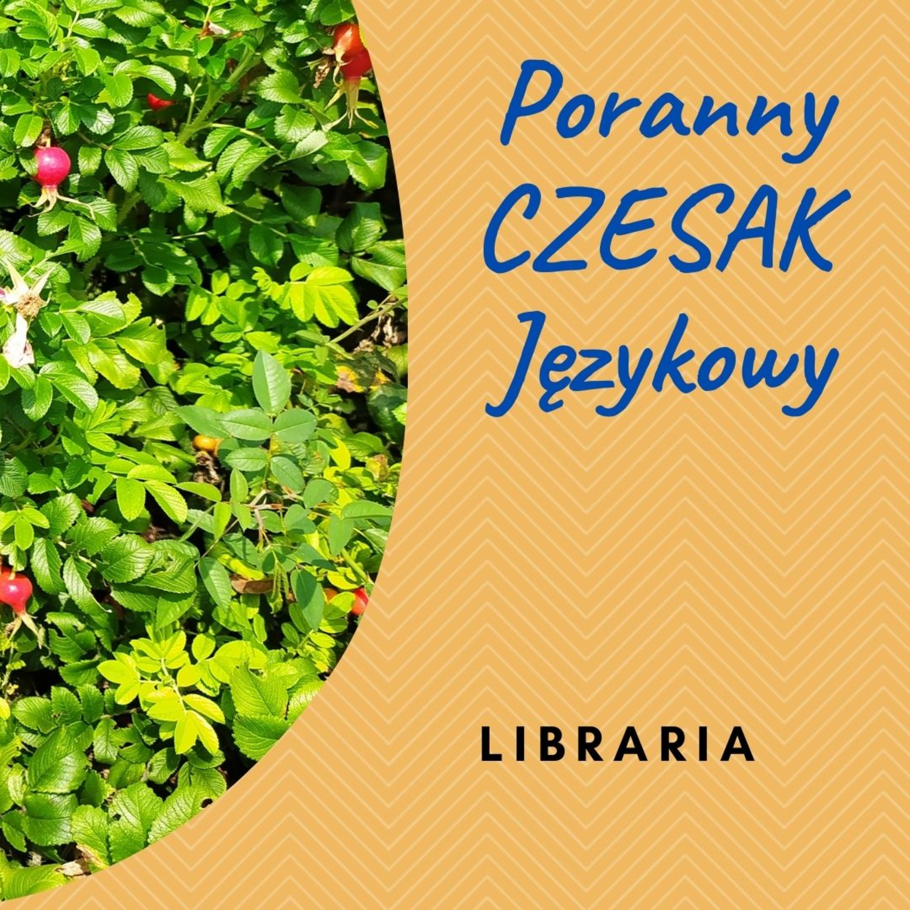 Czesak. Varia