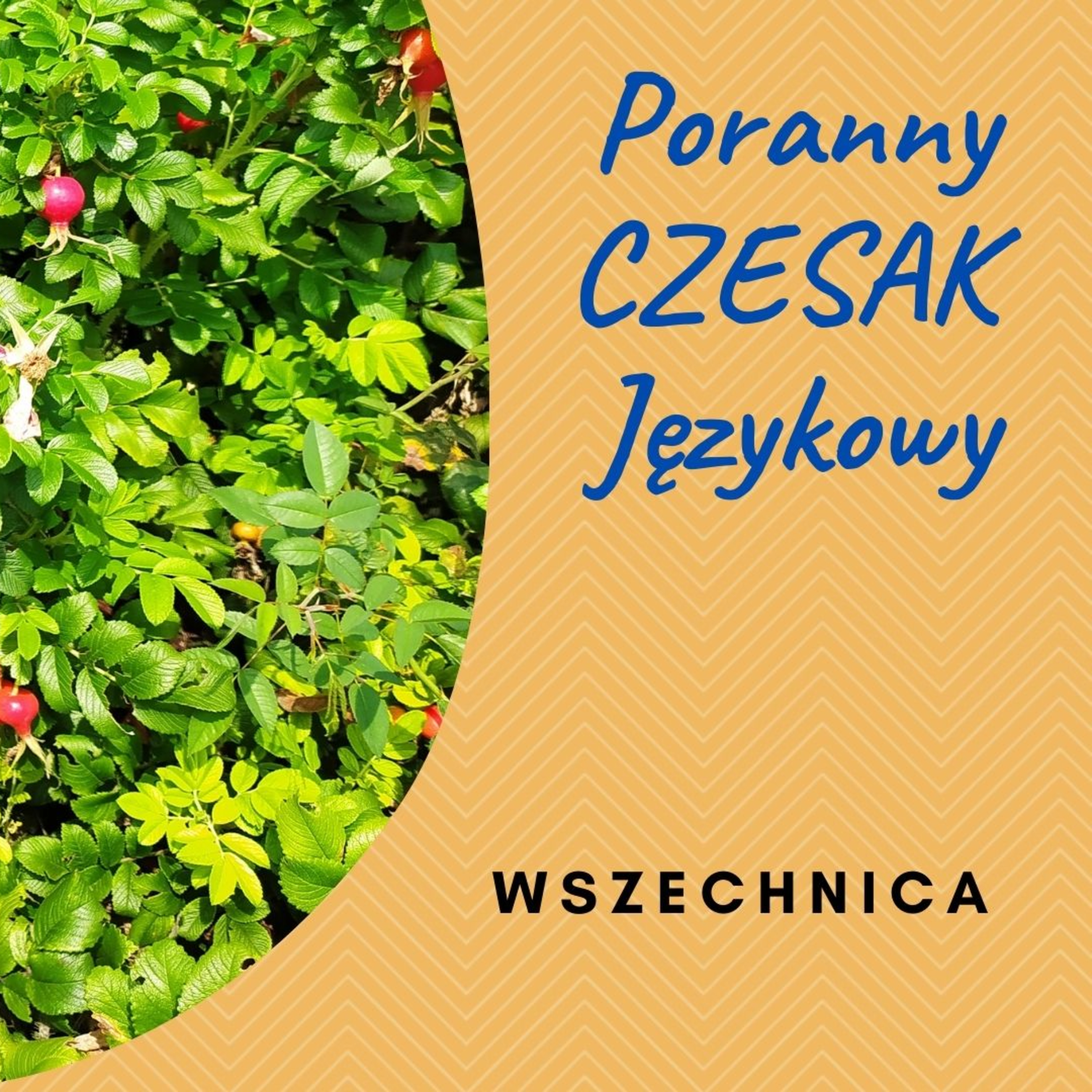 Czesak. Varia