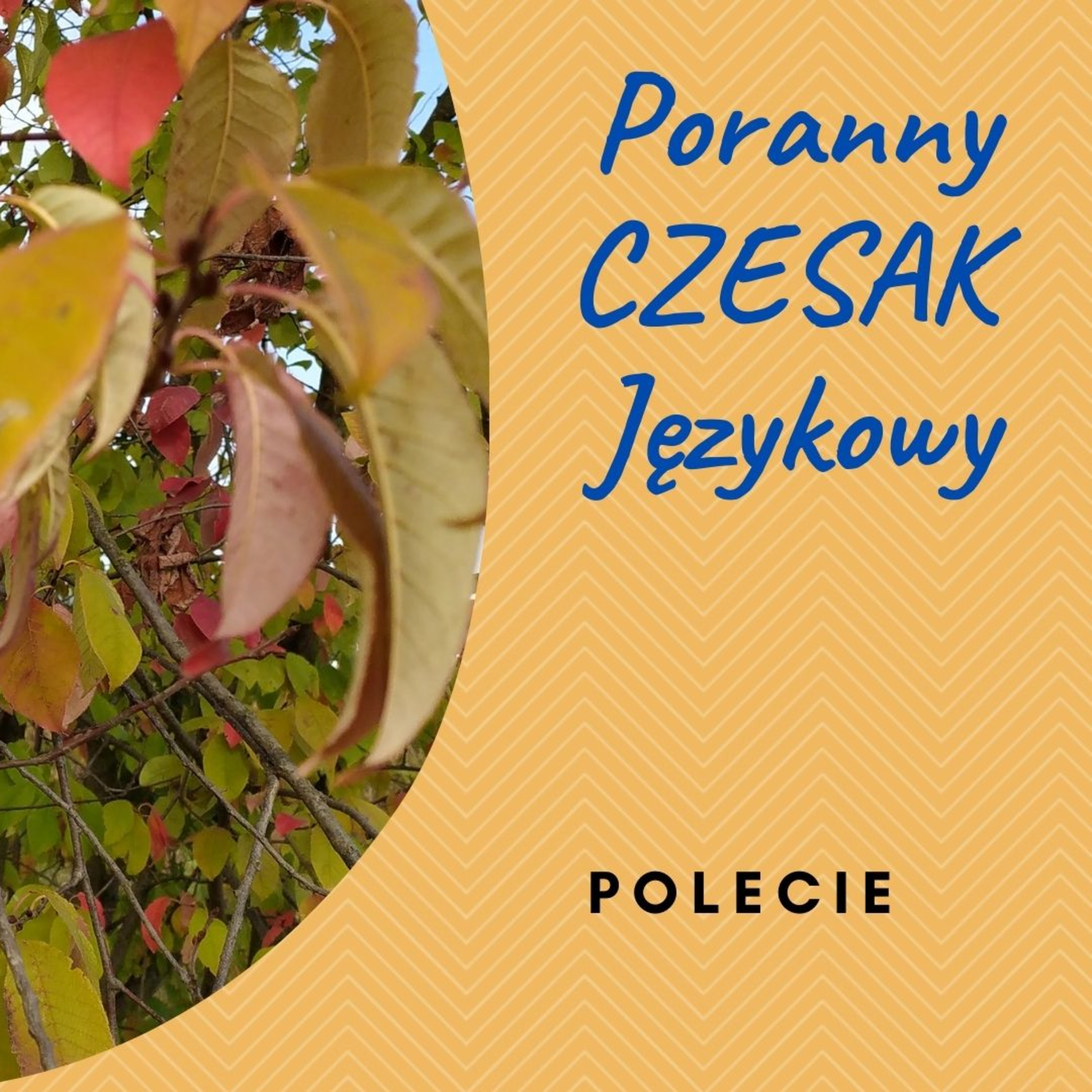 Czesak. Varia