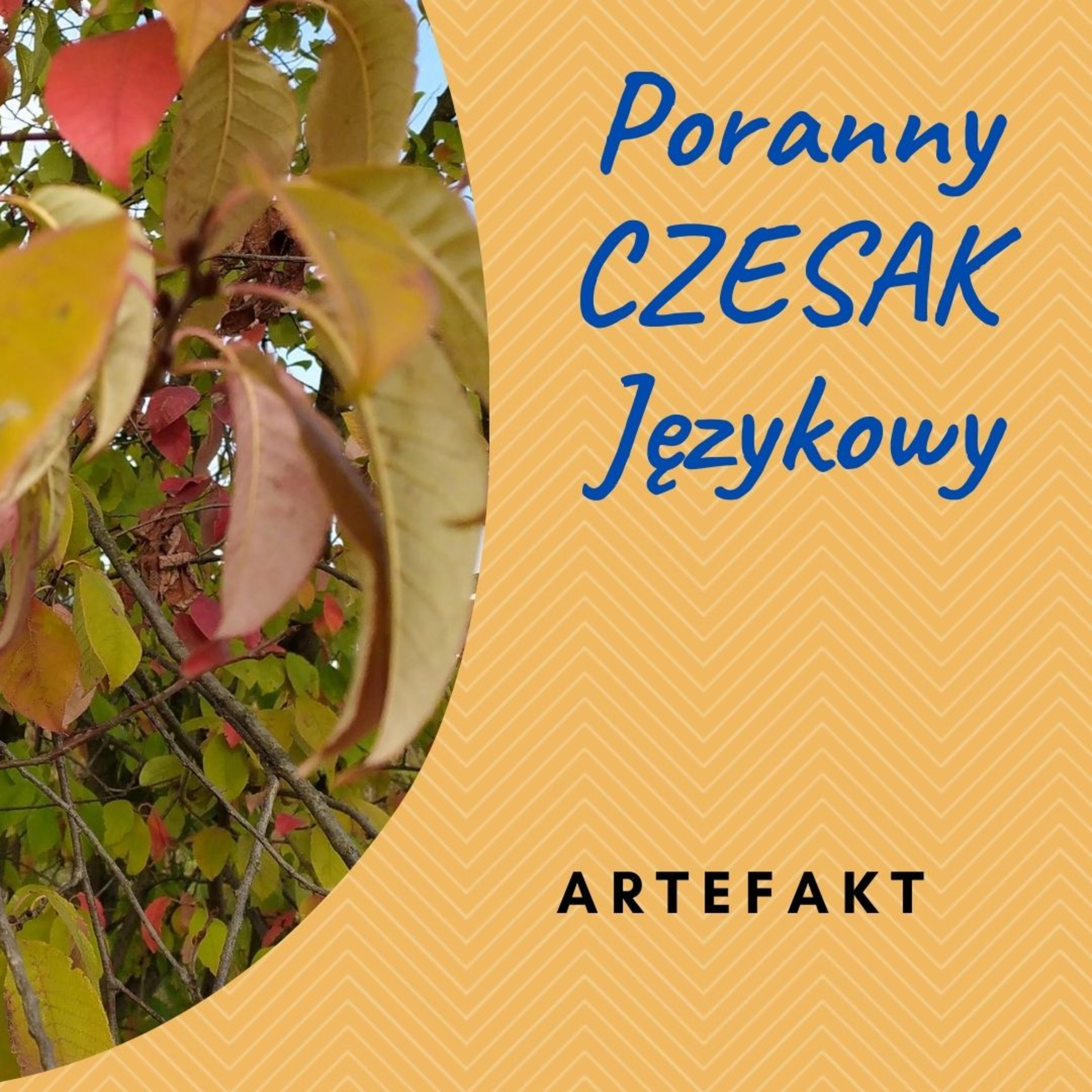 Czesak. Varia
