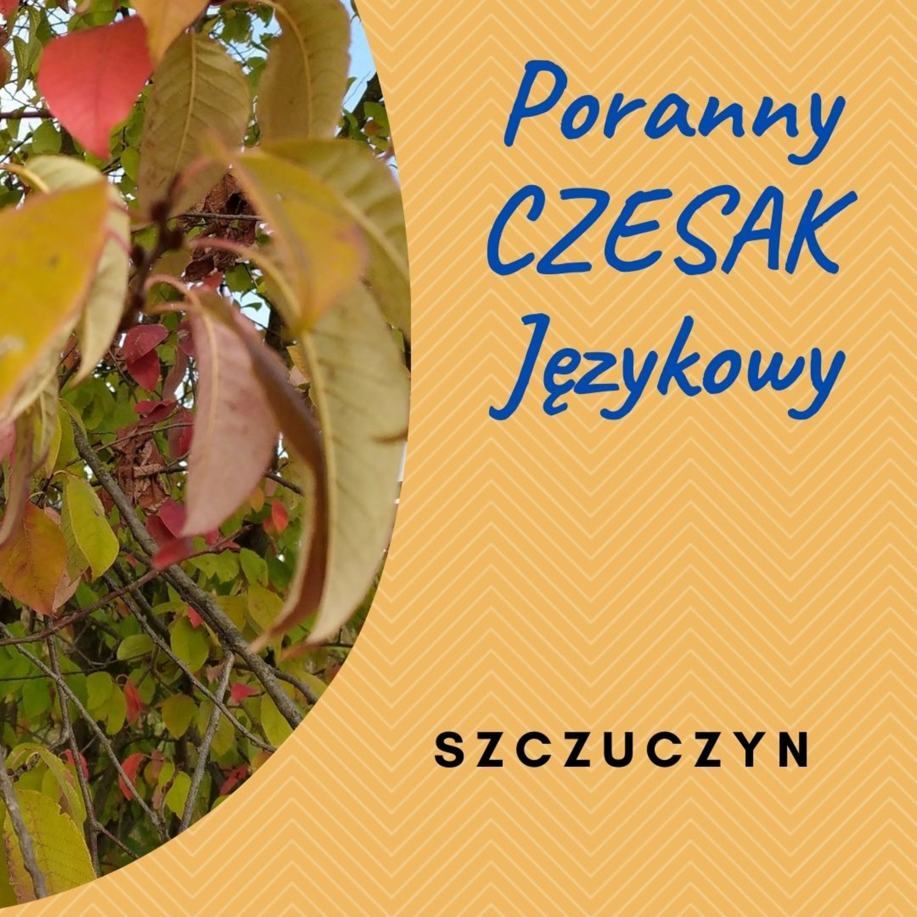 Czesak. Varia