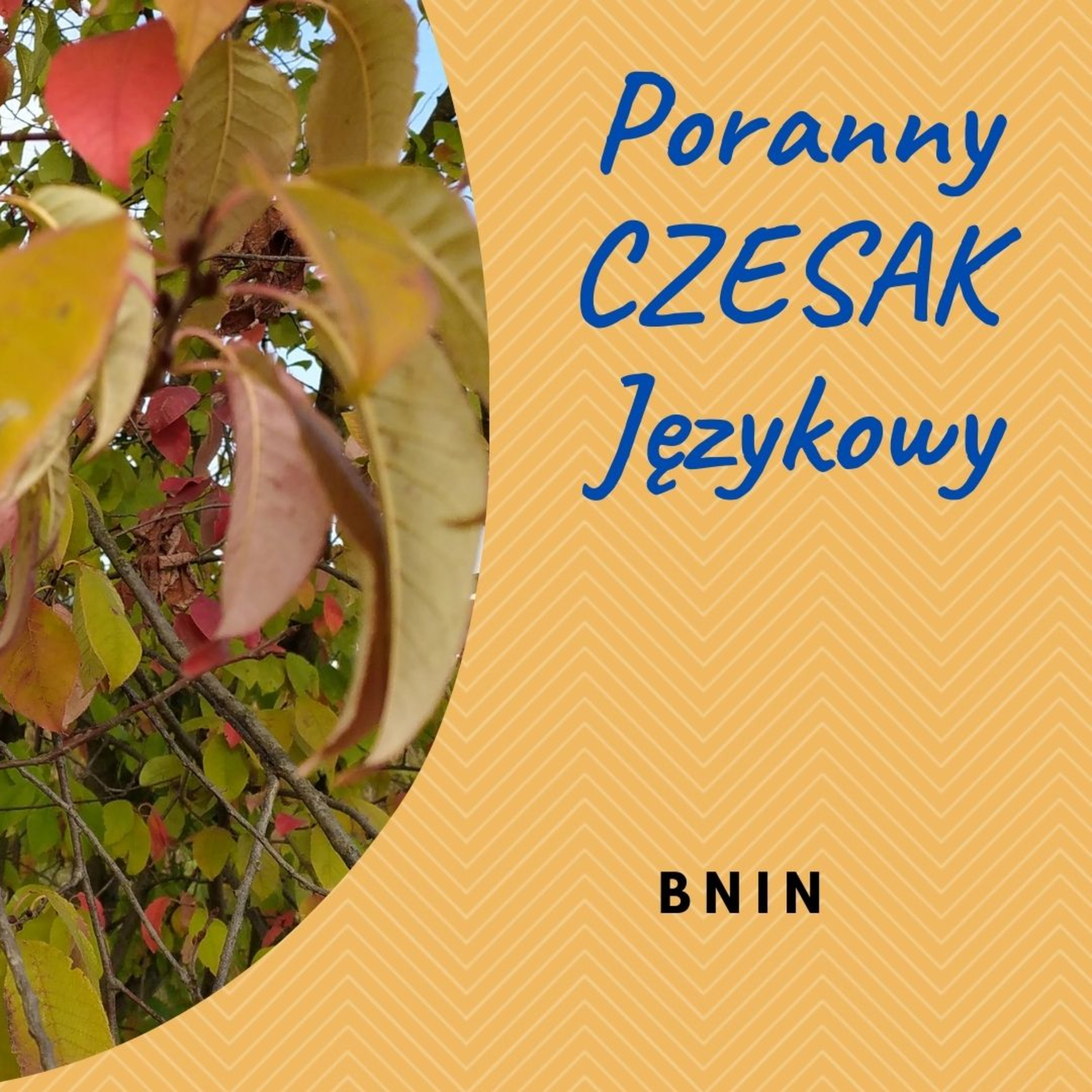Czesak. Varia