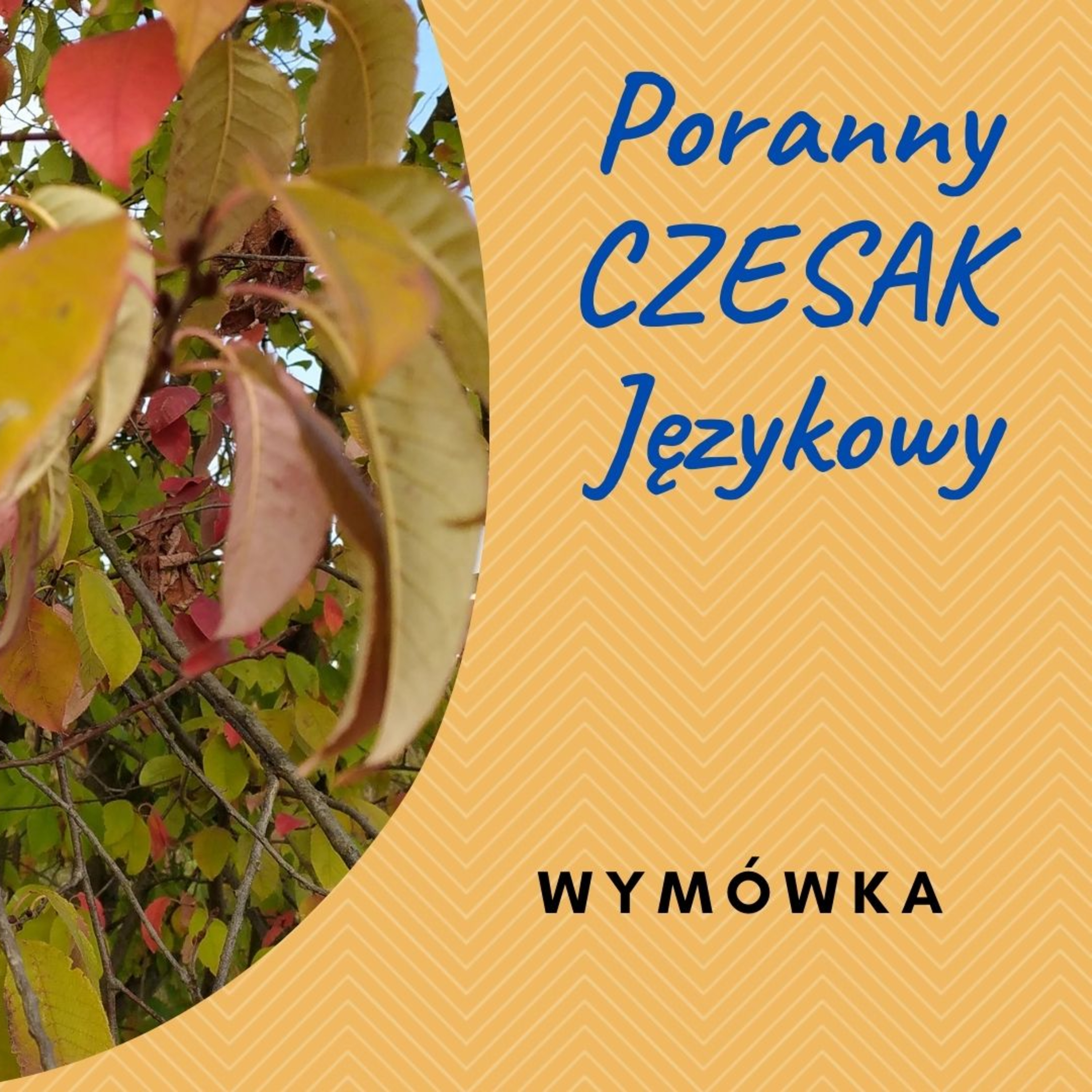 Czesak. Varia
