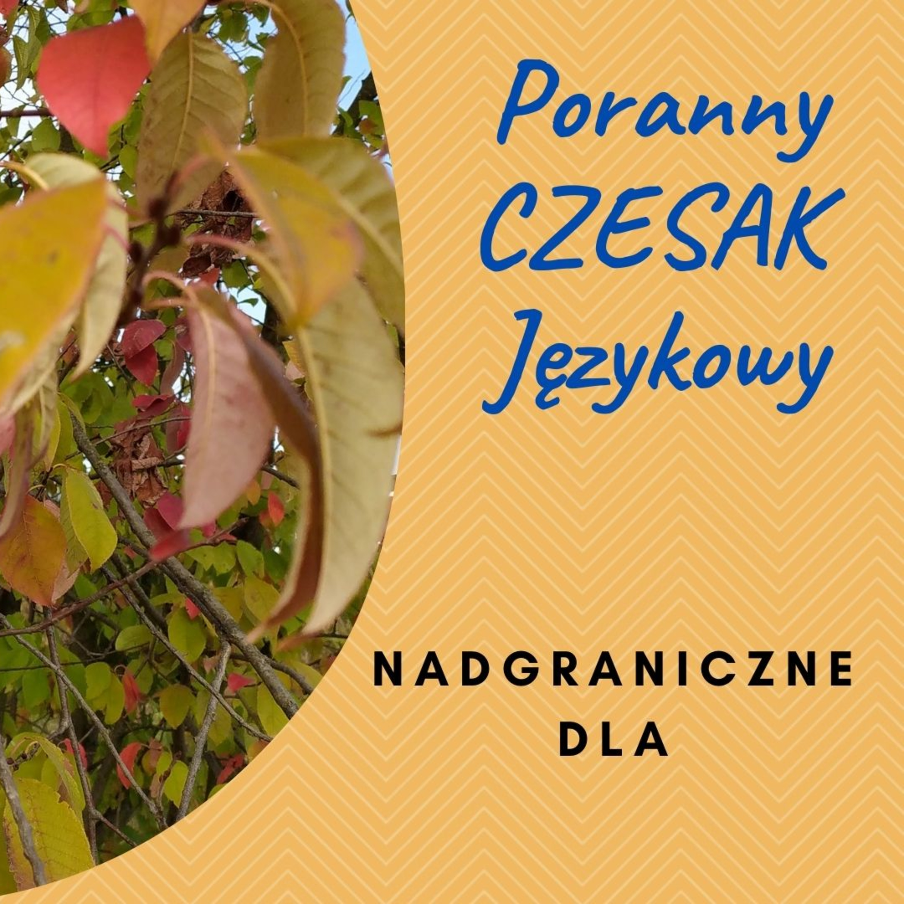 Czesak. Varia