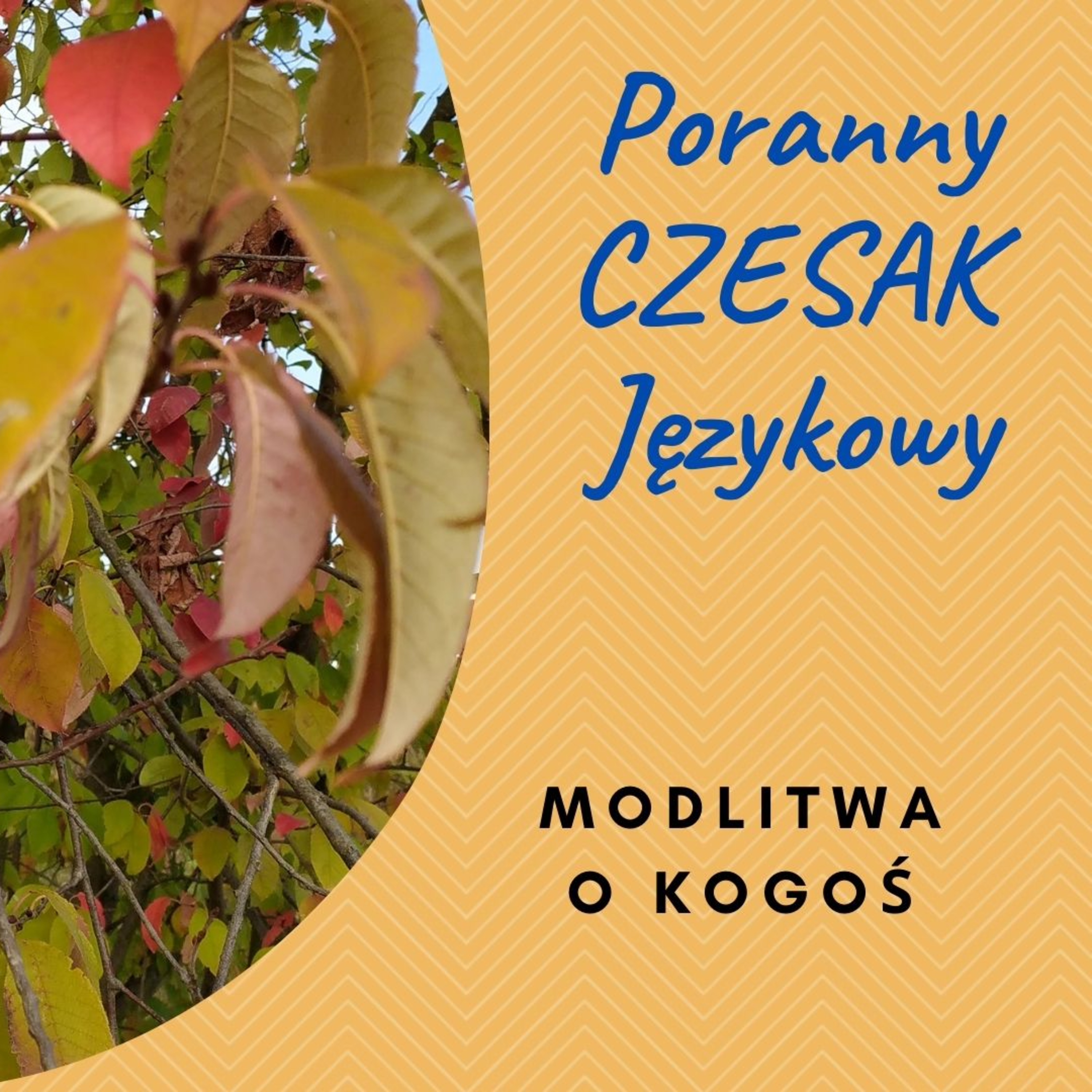 Czesak. Varia