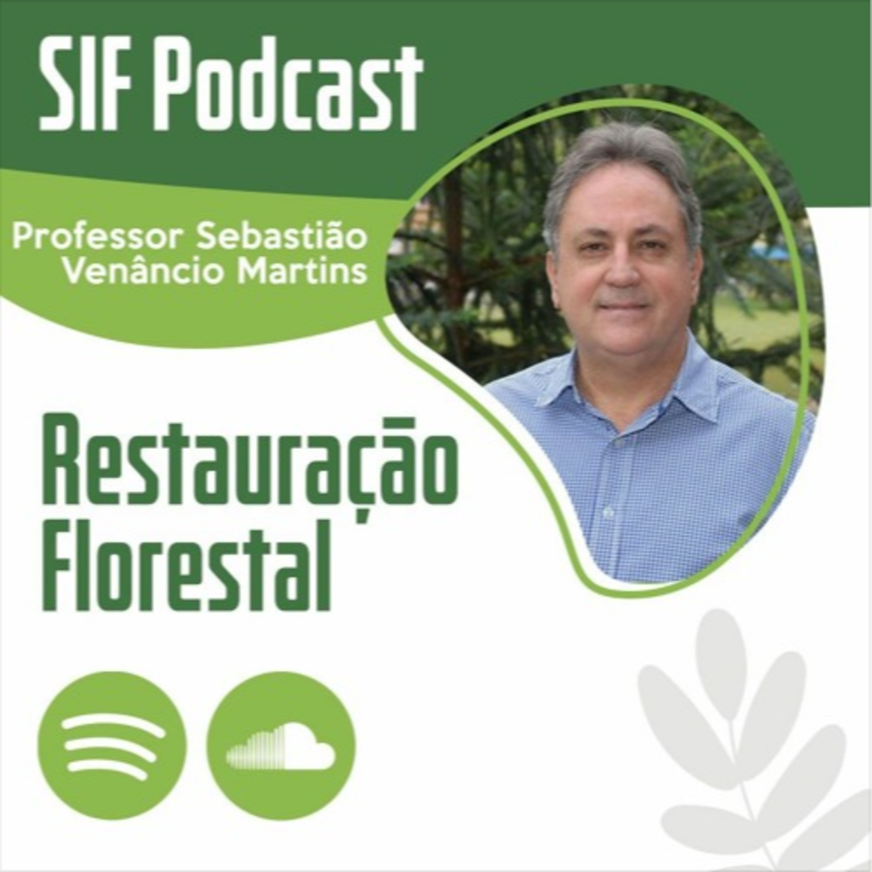 Podcast SIF