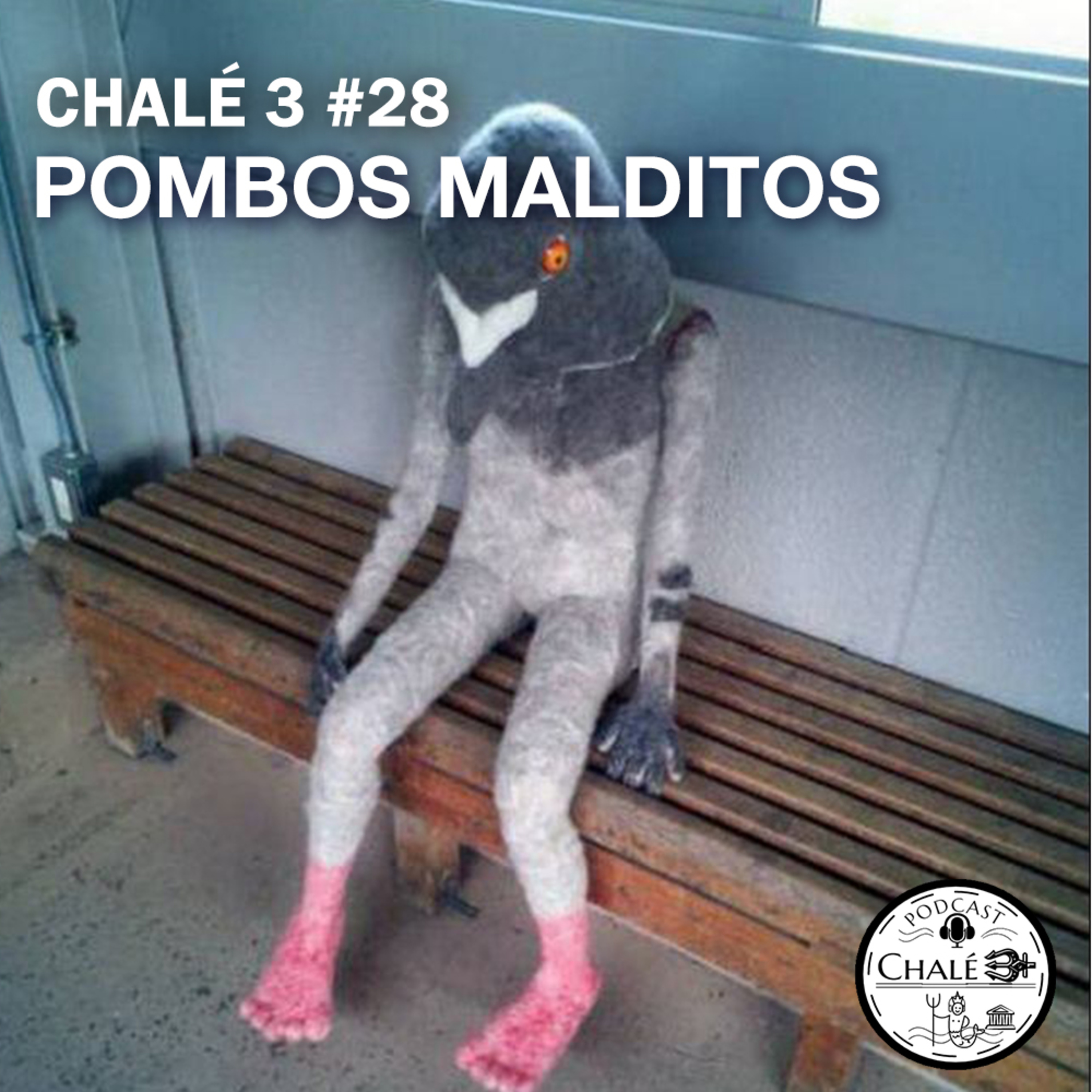 Chalé 3