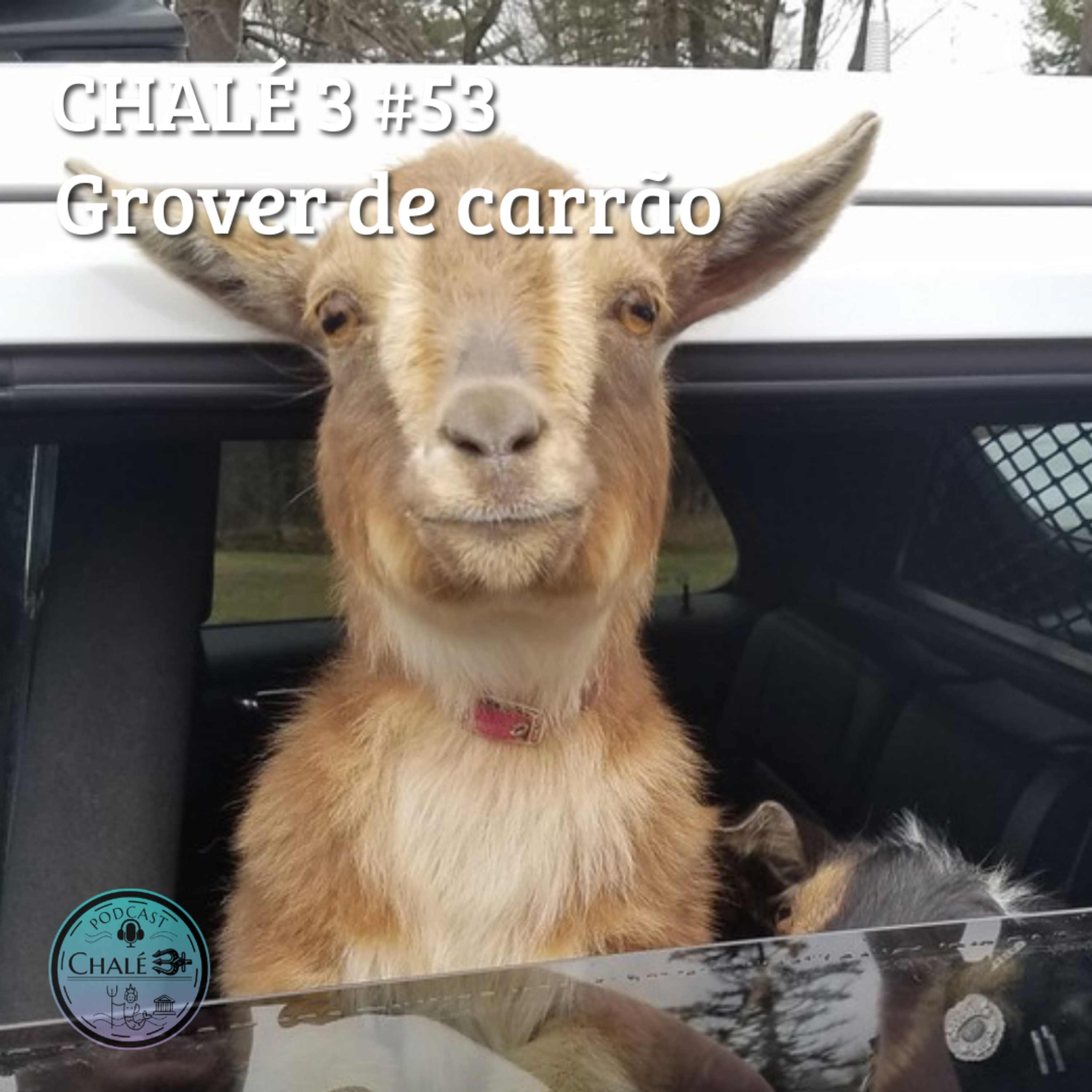 Chalé 3