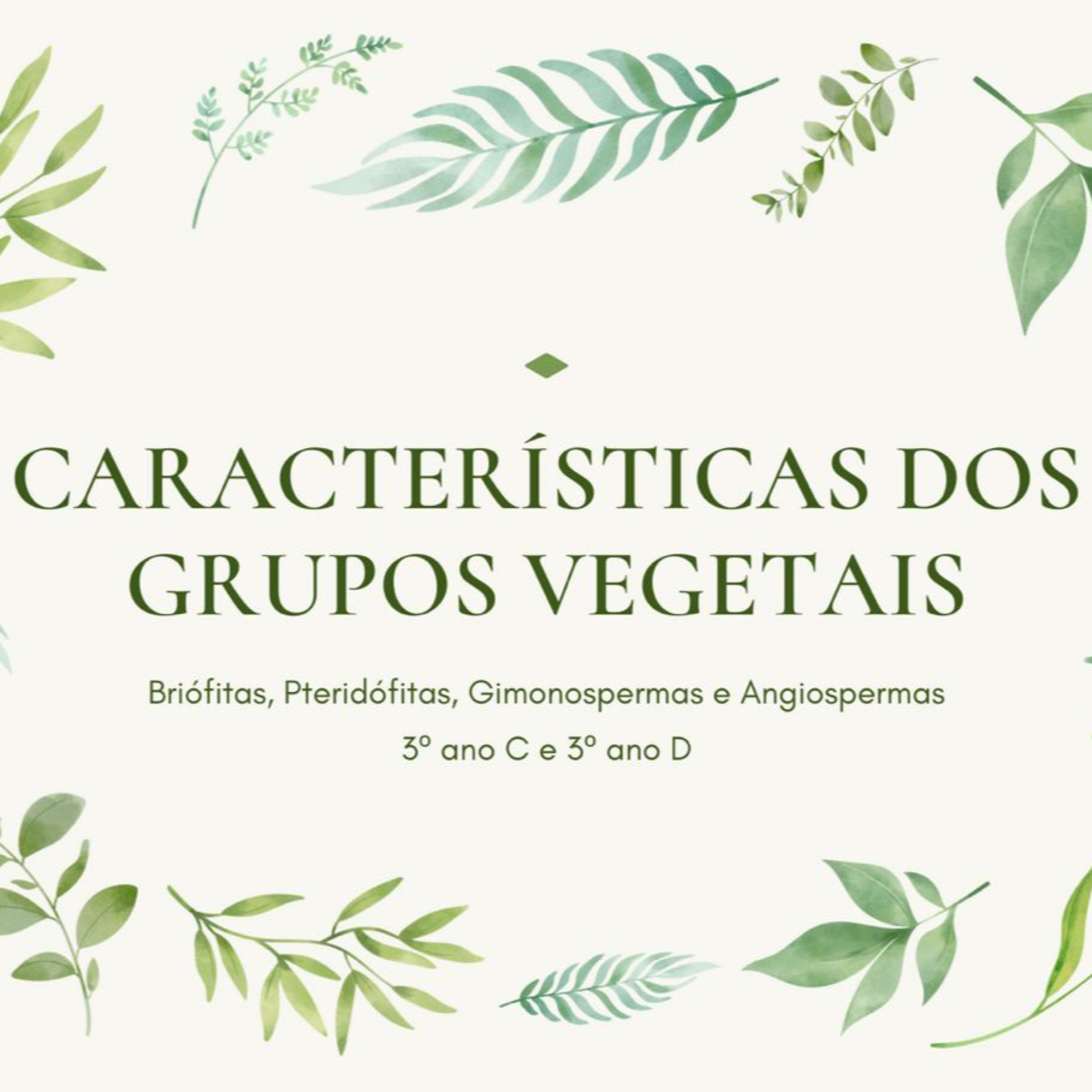 Caracteristicas dos grupos vegetais