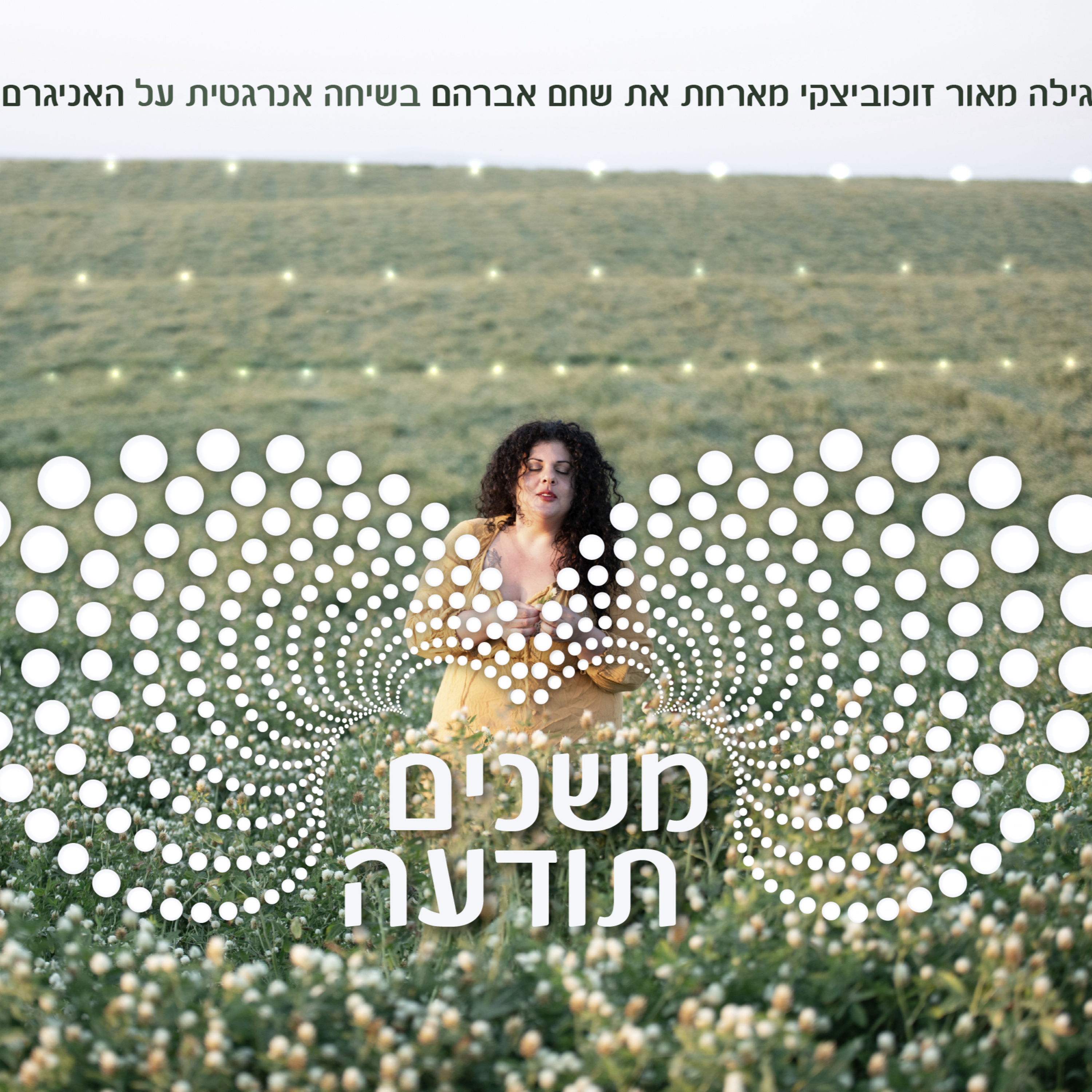 שחם אברהם מדבר על אניגרם episode artwork