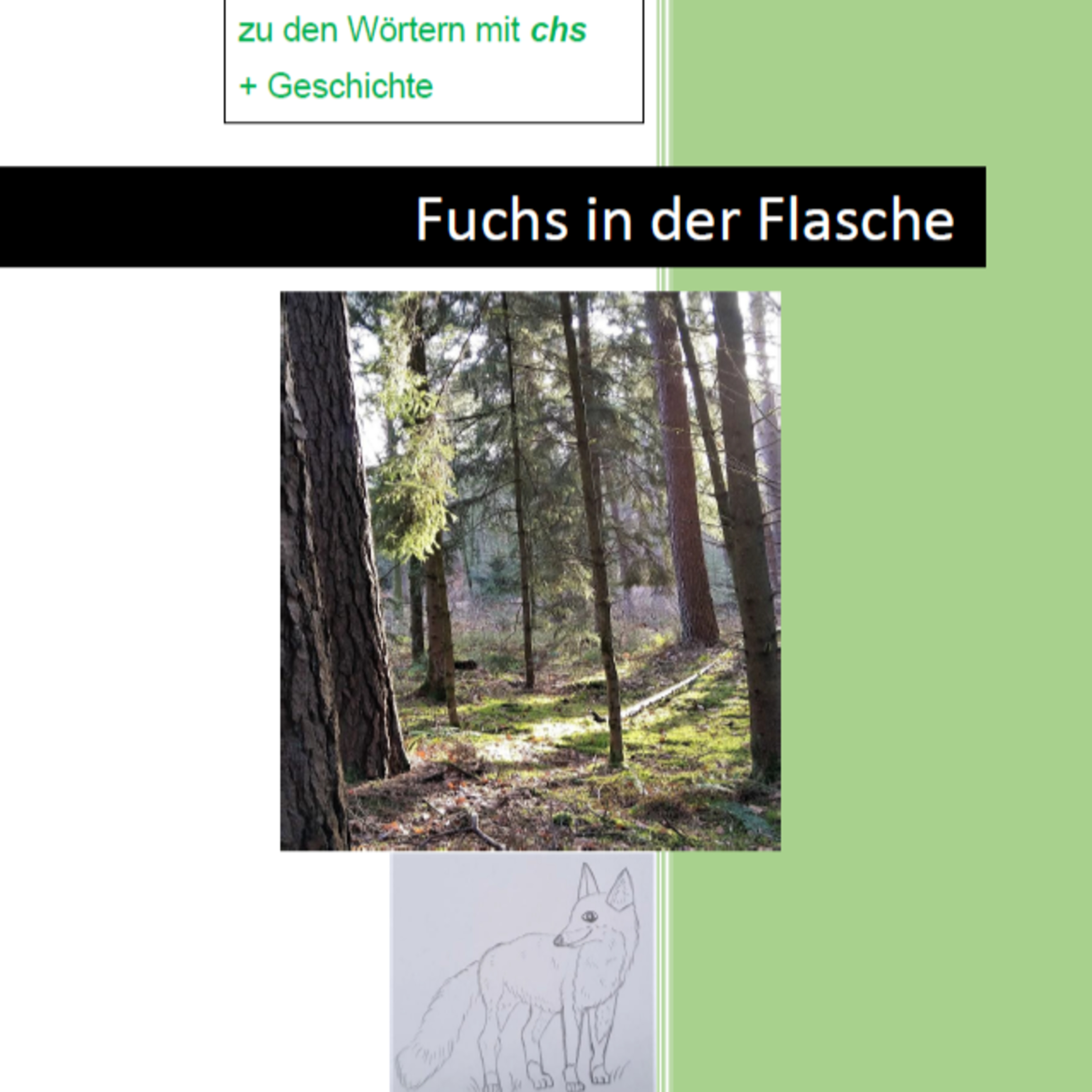 Jedes Kind und jeder Mensch will von Natur aus lernen!