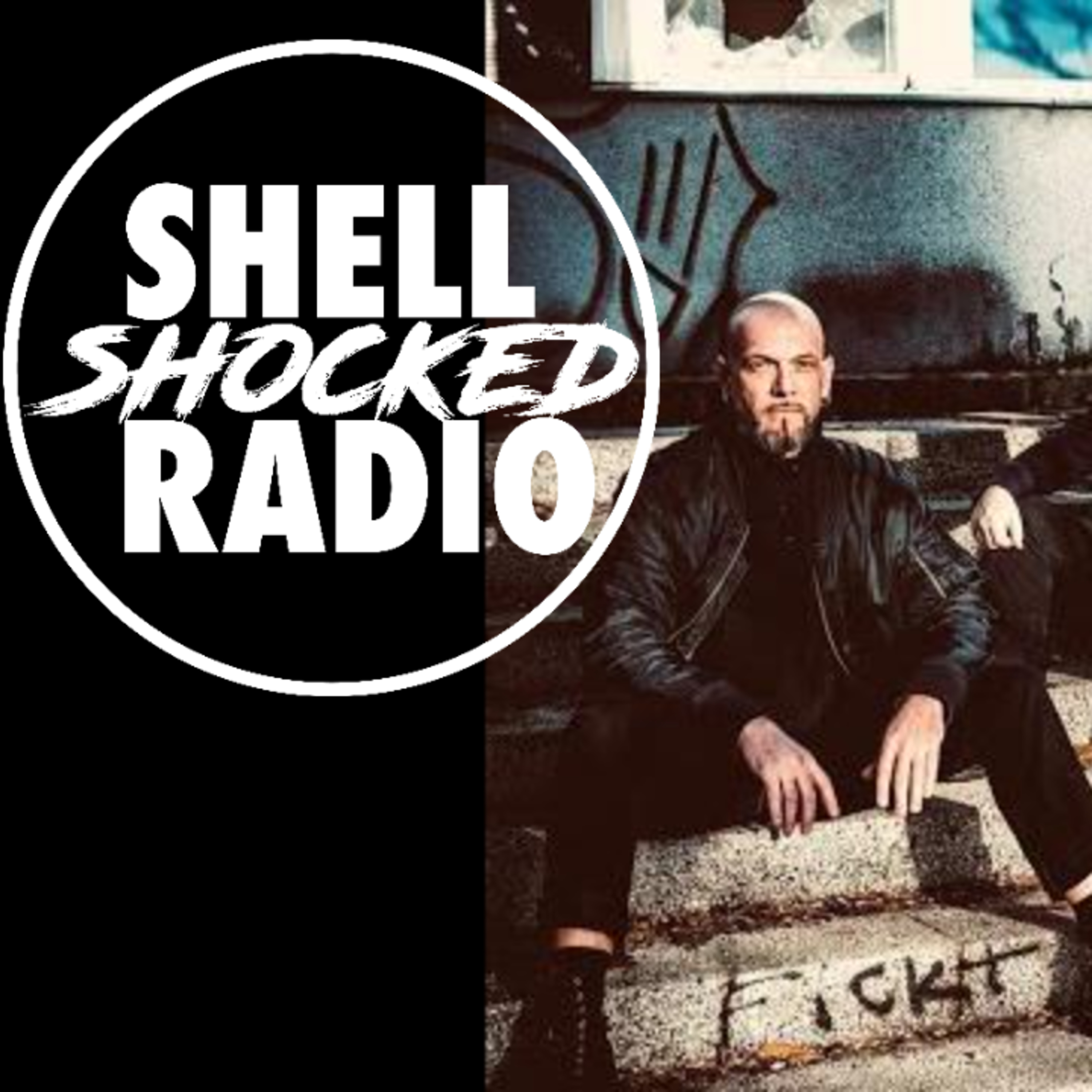 Shellshocked Radio Gespräch m BlueForge - Musik Promotion, Depeche Mode, Trent Reznor, Ausblick #13
