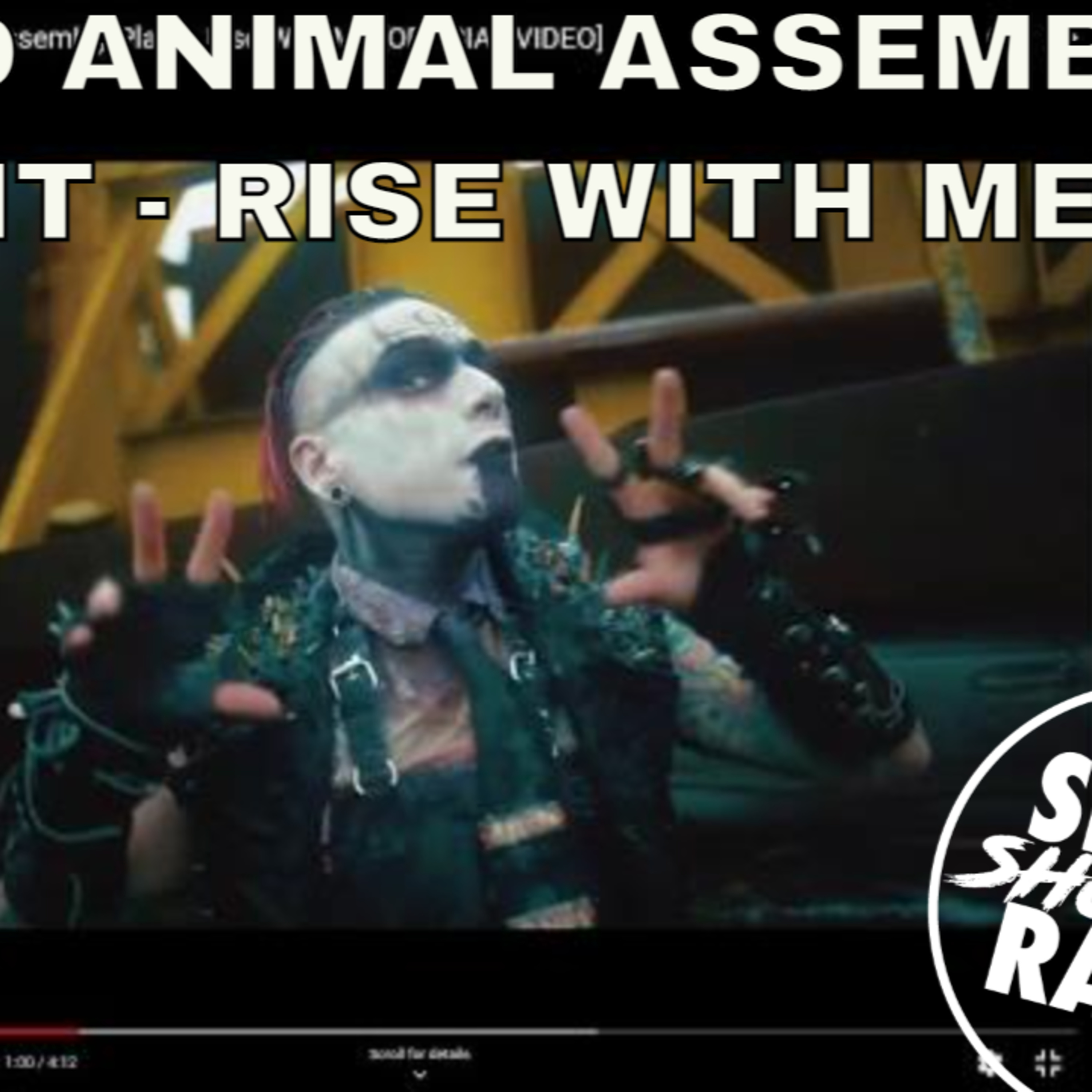 Shellshocked Radio Recommendations - Dead Animal Assembly Plant - Rise With Me #16