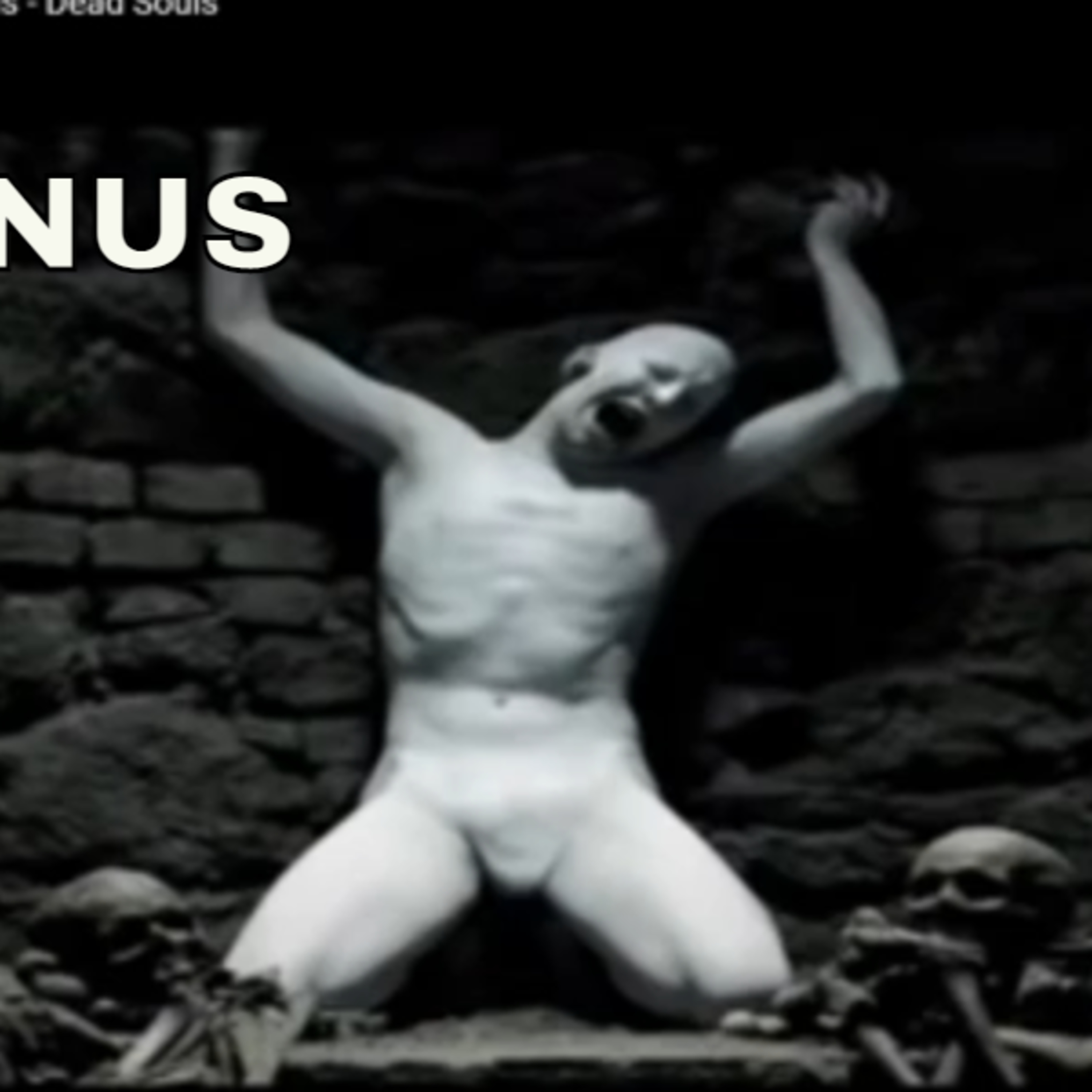 Shellshocked Radio Recommendations - Sopor Aeternus - Dead Souls #72