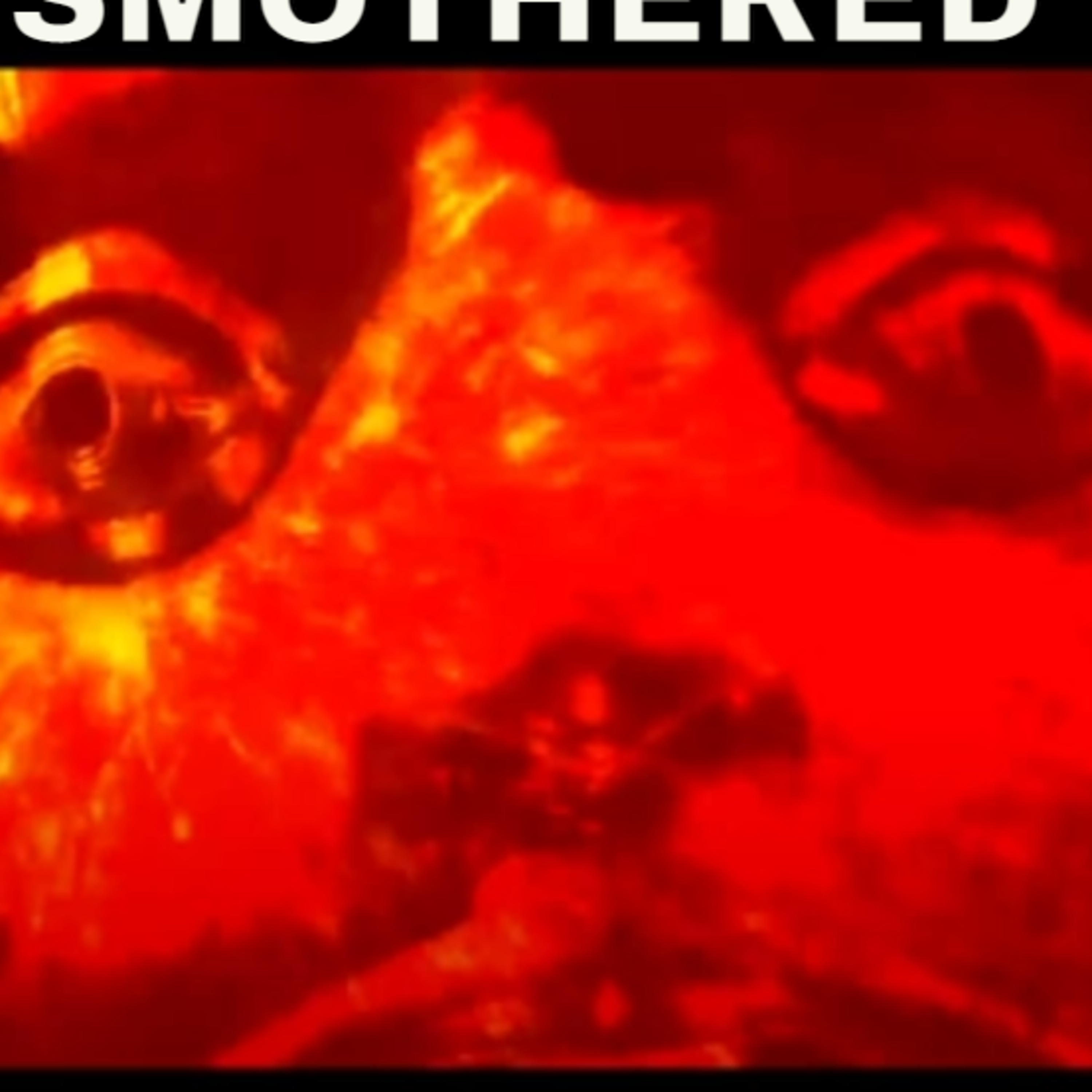 Shellshocked Radio Recommendations - G.H.T - Smothered in Fire (lust) #78