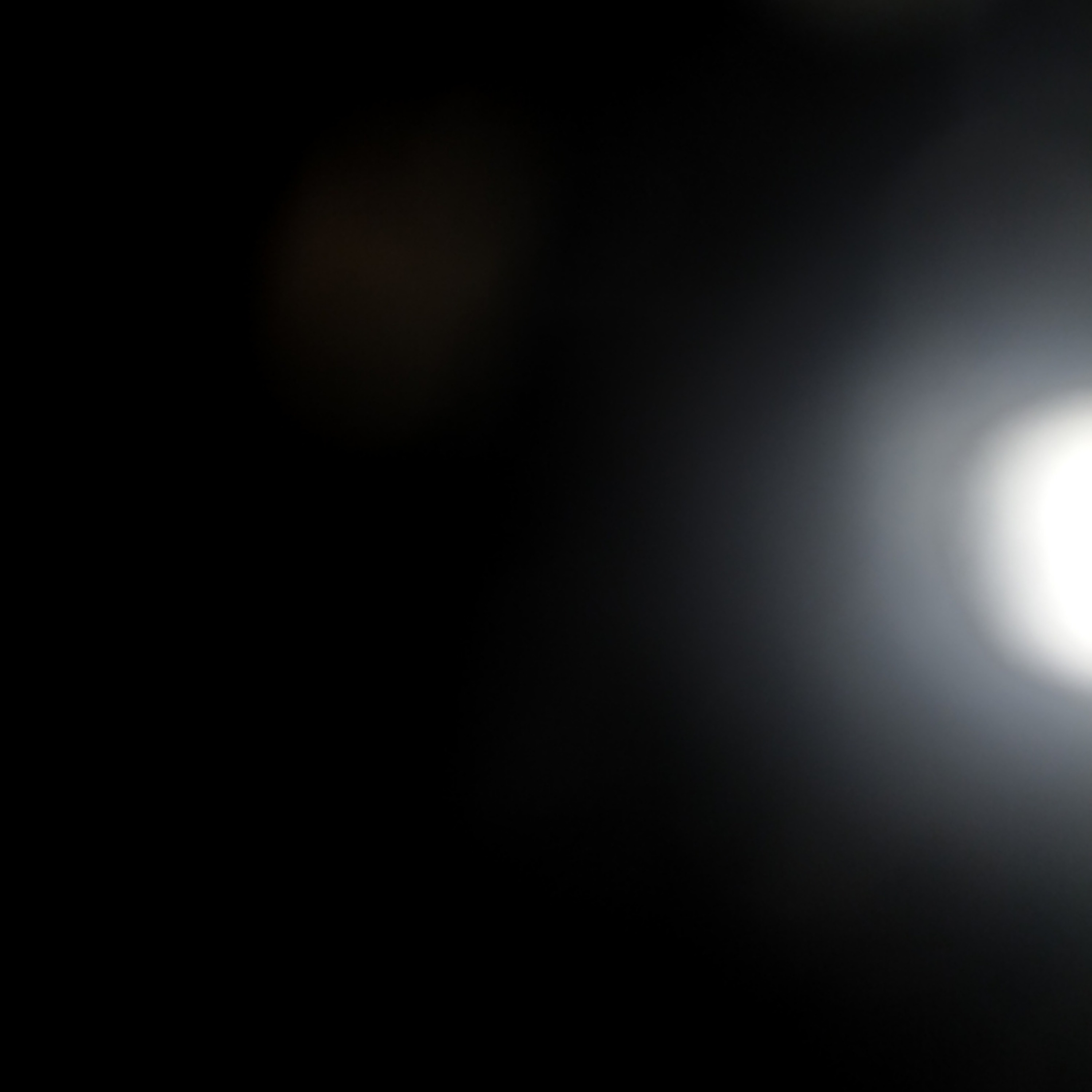 Collector's Corner-Horror