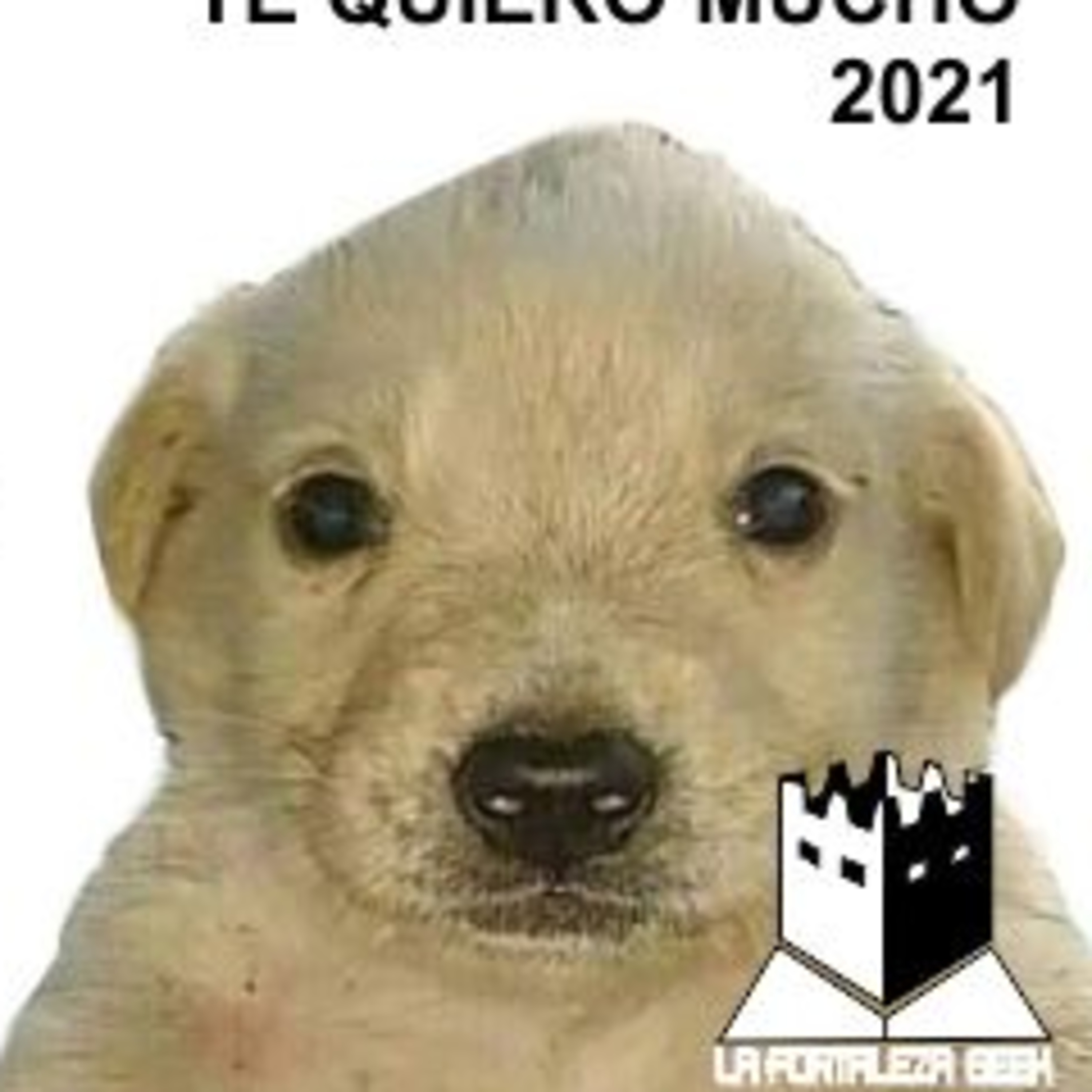  Lo que nos dejó el 2021 - T3E12 episode artwork