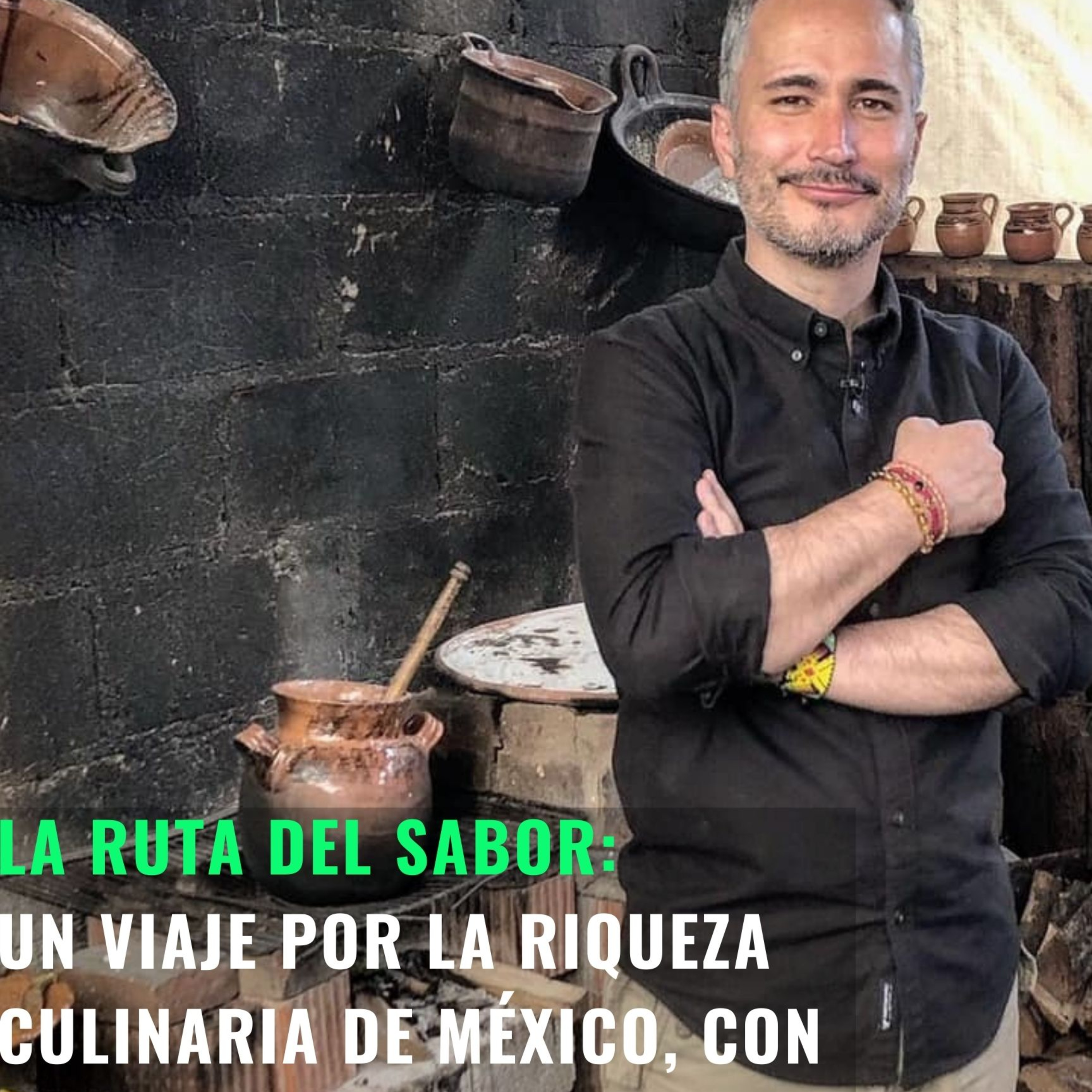 Un Tlacuache en la Ciudad