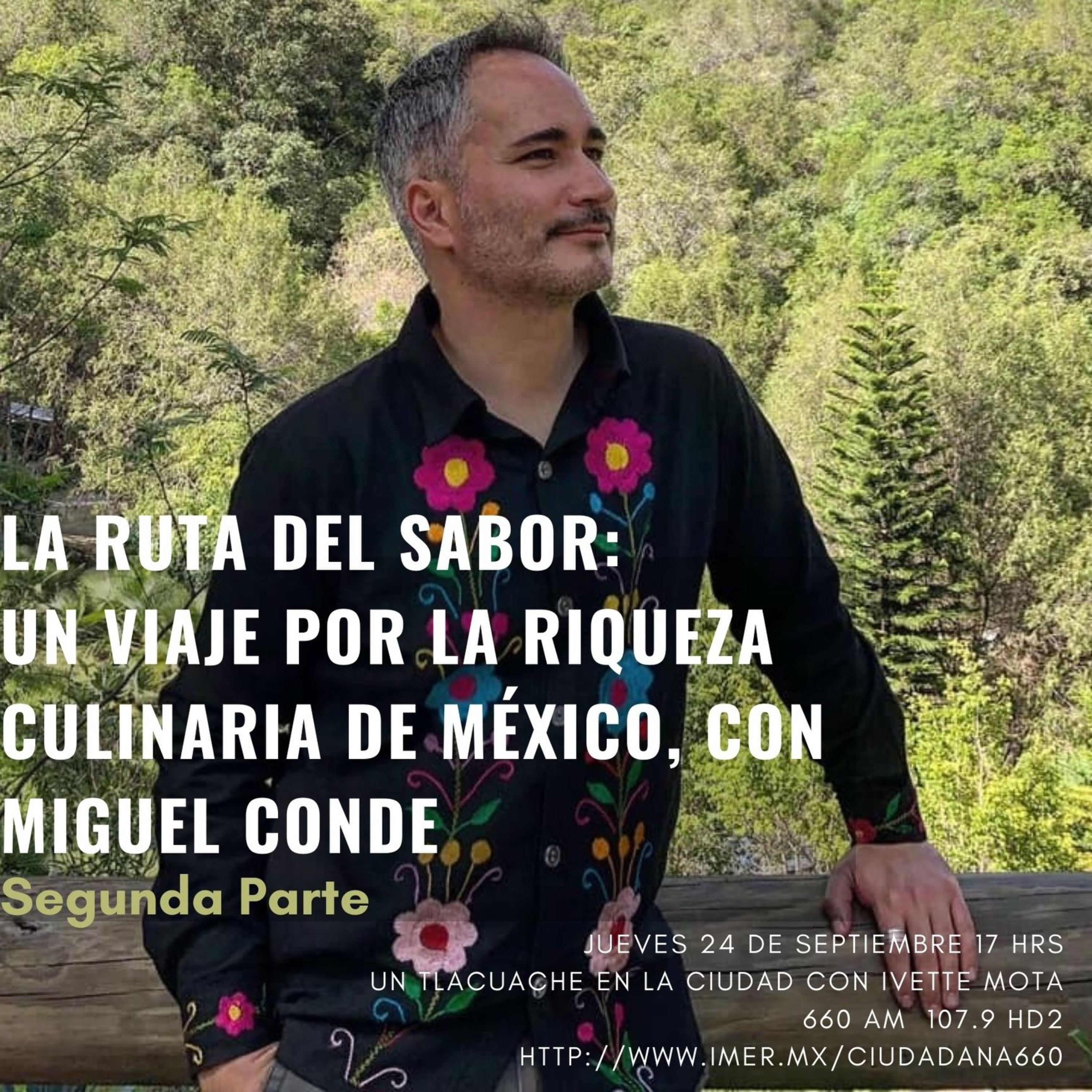 Un Tlacuache en la Ciudad