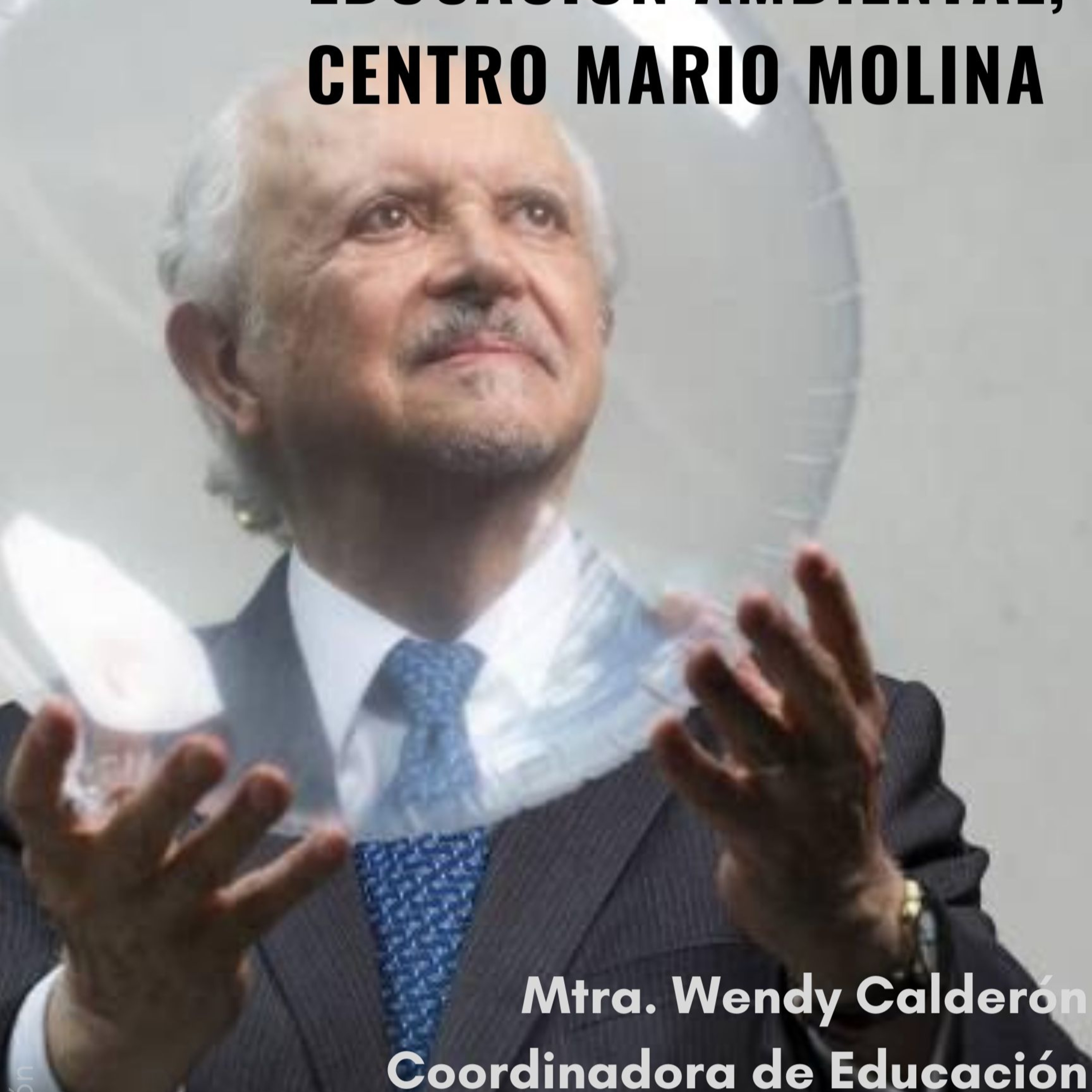 Un Tlacuache en la Ciudad