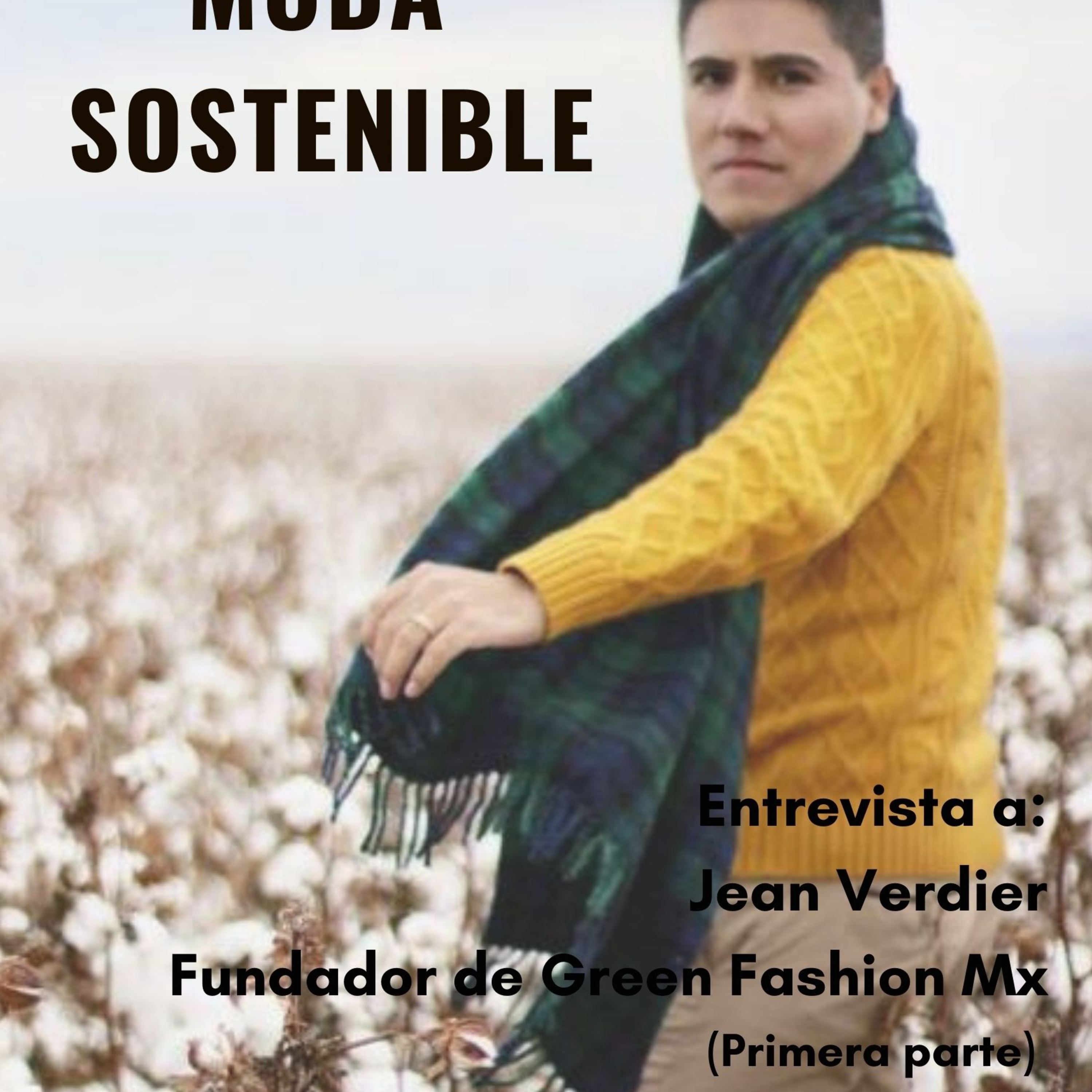 Un Tlacuache en la Ciudad